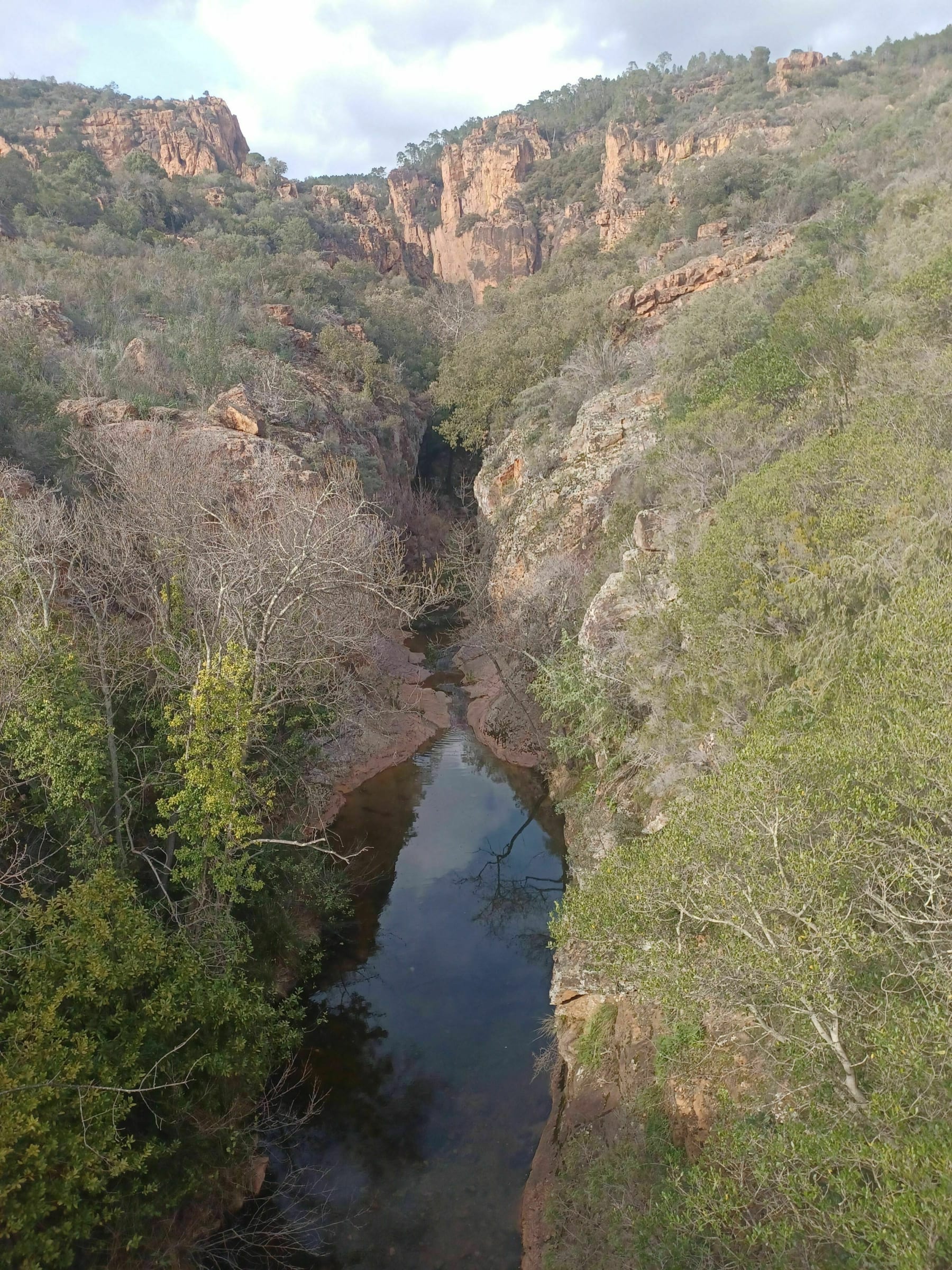 Randonnée Puget-sur-Argens - Petite balade de Puget-sur-Argens vers le Blavet