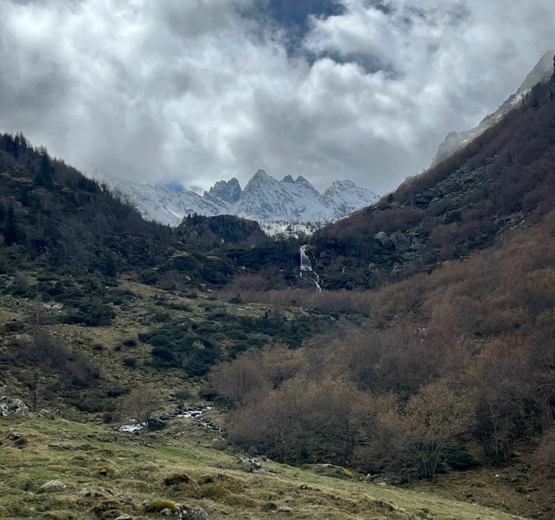 Randonnée Savignac-les-Ormeaux - Cabanes de Savignac