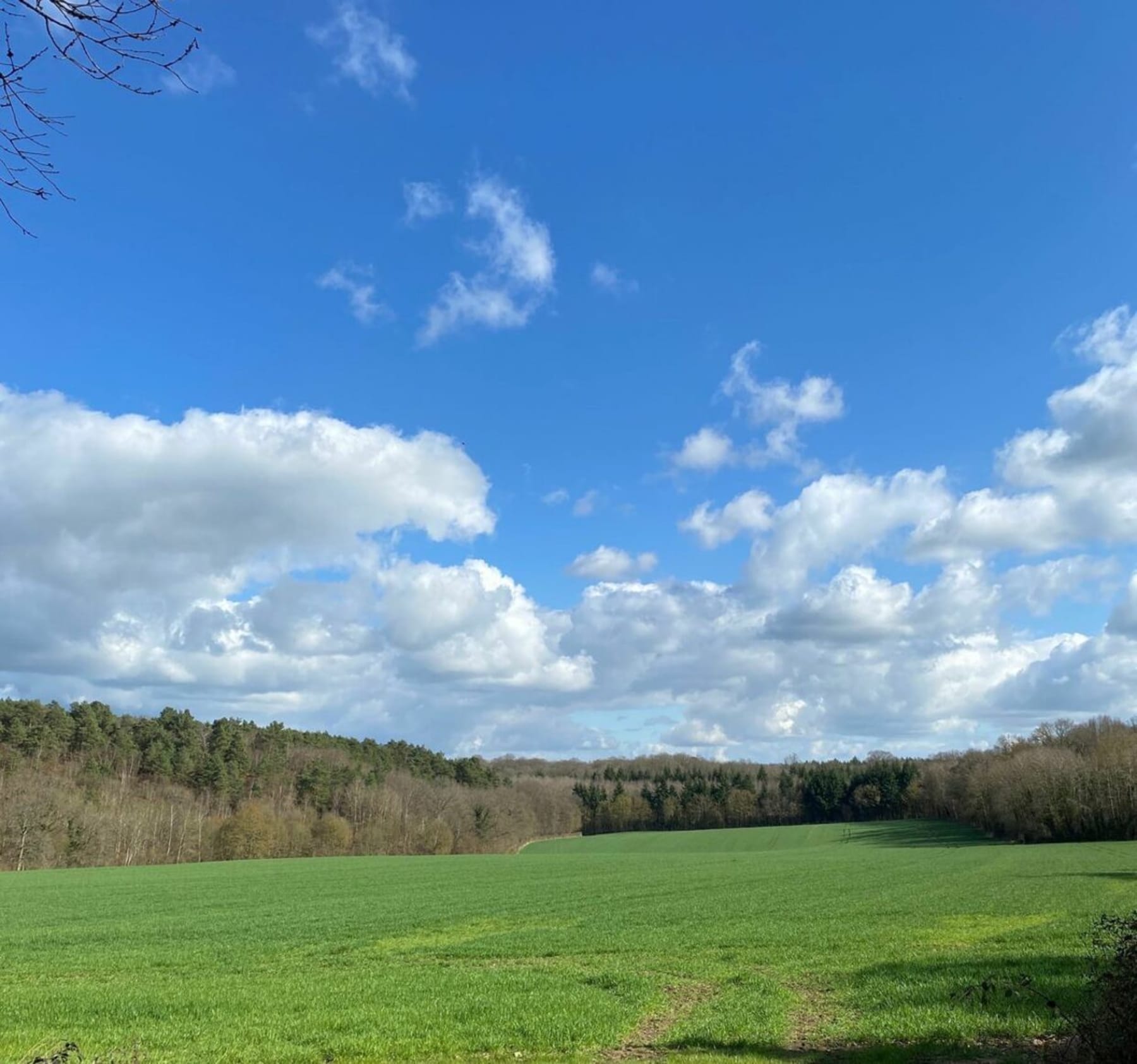 Randonnée Grosley-sur-Risle - Balade de la mare aux loups