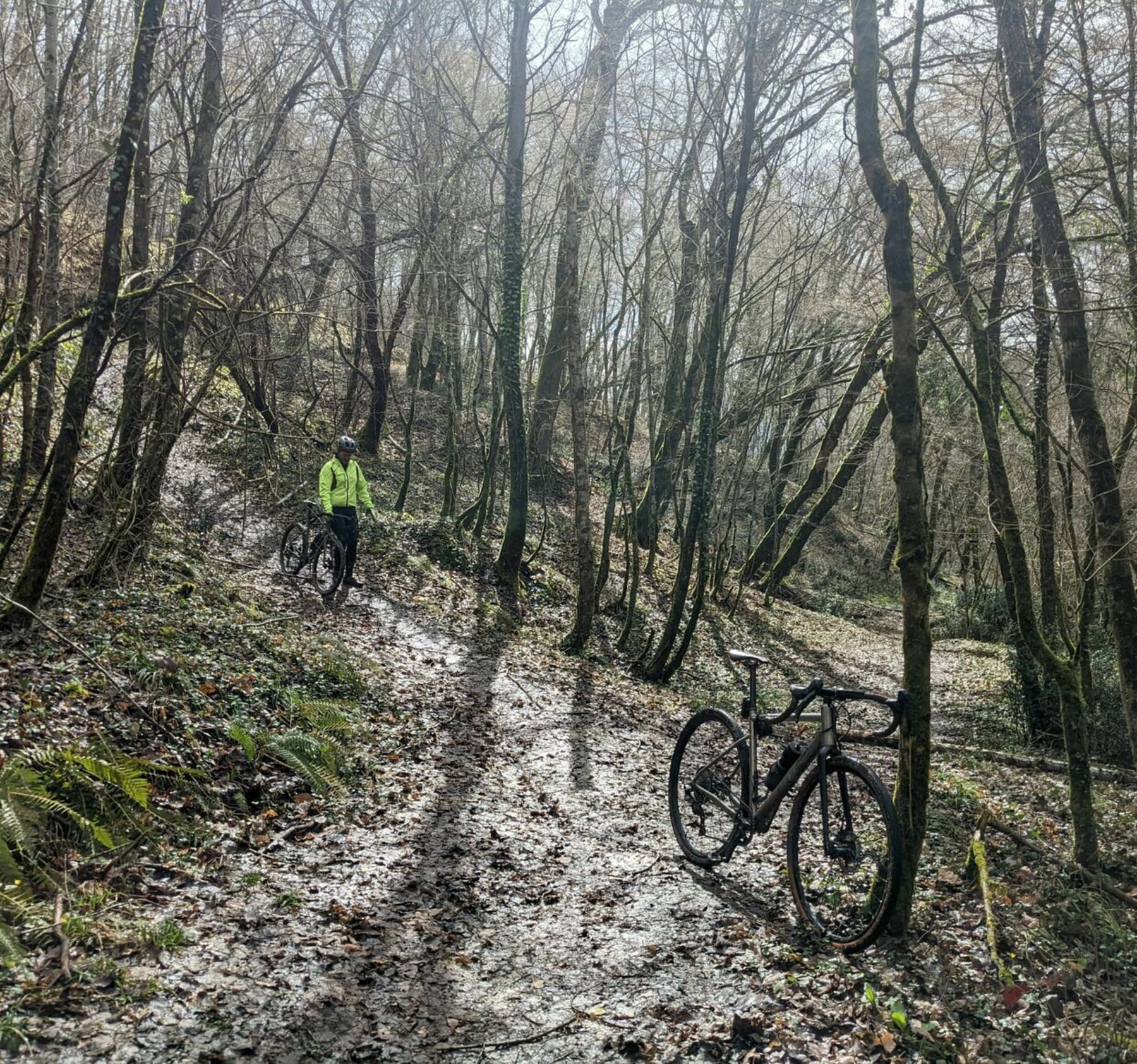 Randonnée Albi - Boucle gravel par Cagnac direction le château de Castelnau