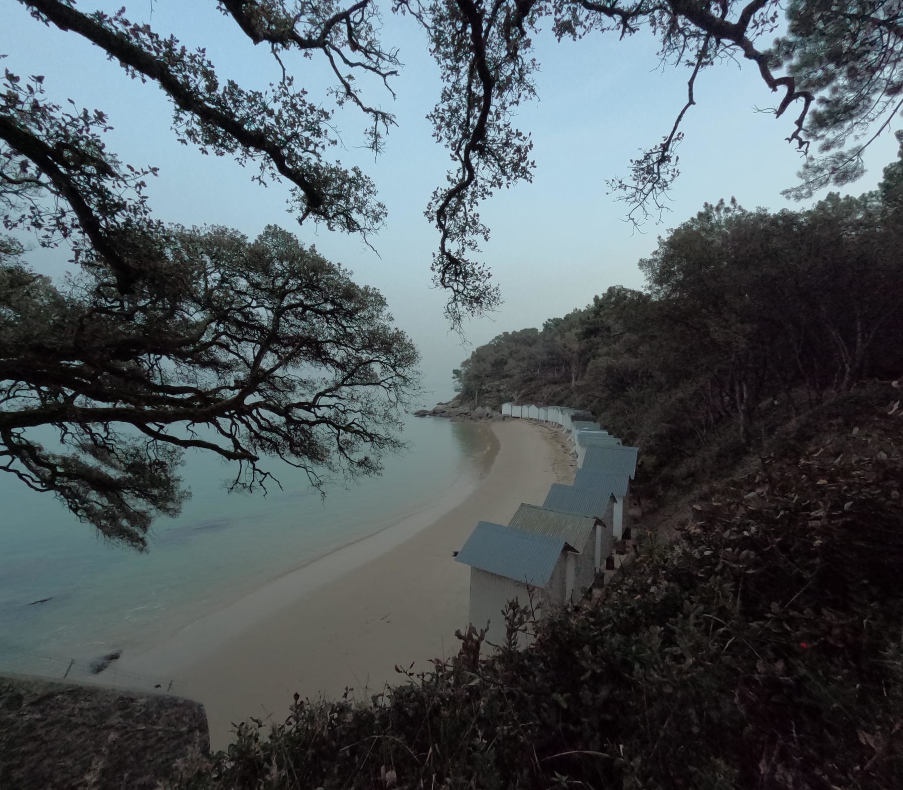 Randonnée Noirmoutier-en-l'Île - Entre plages et ports