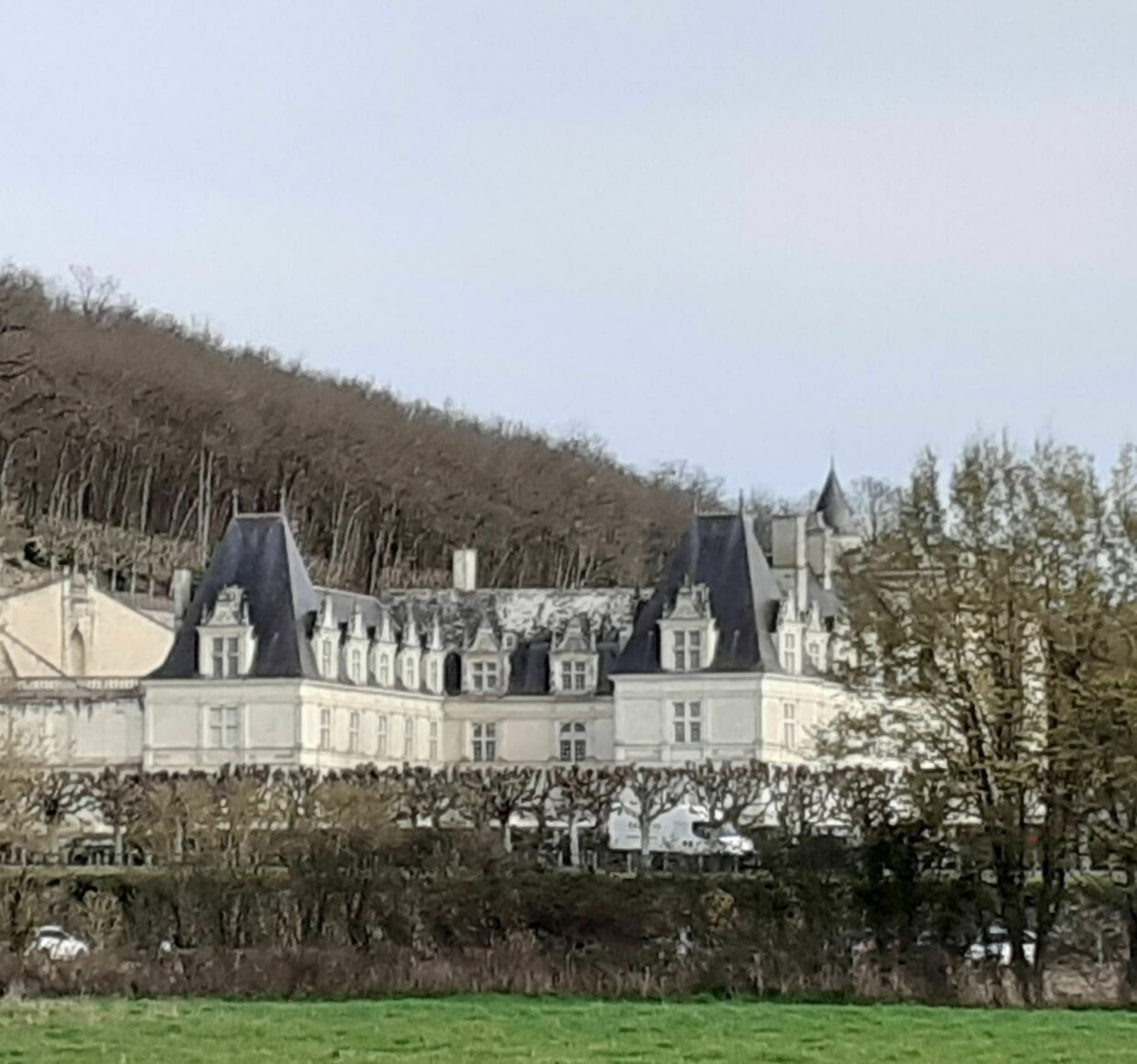 Randonnée Villandry - Au bord du Cher à Villandry