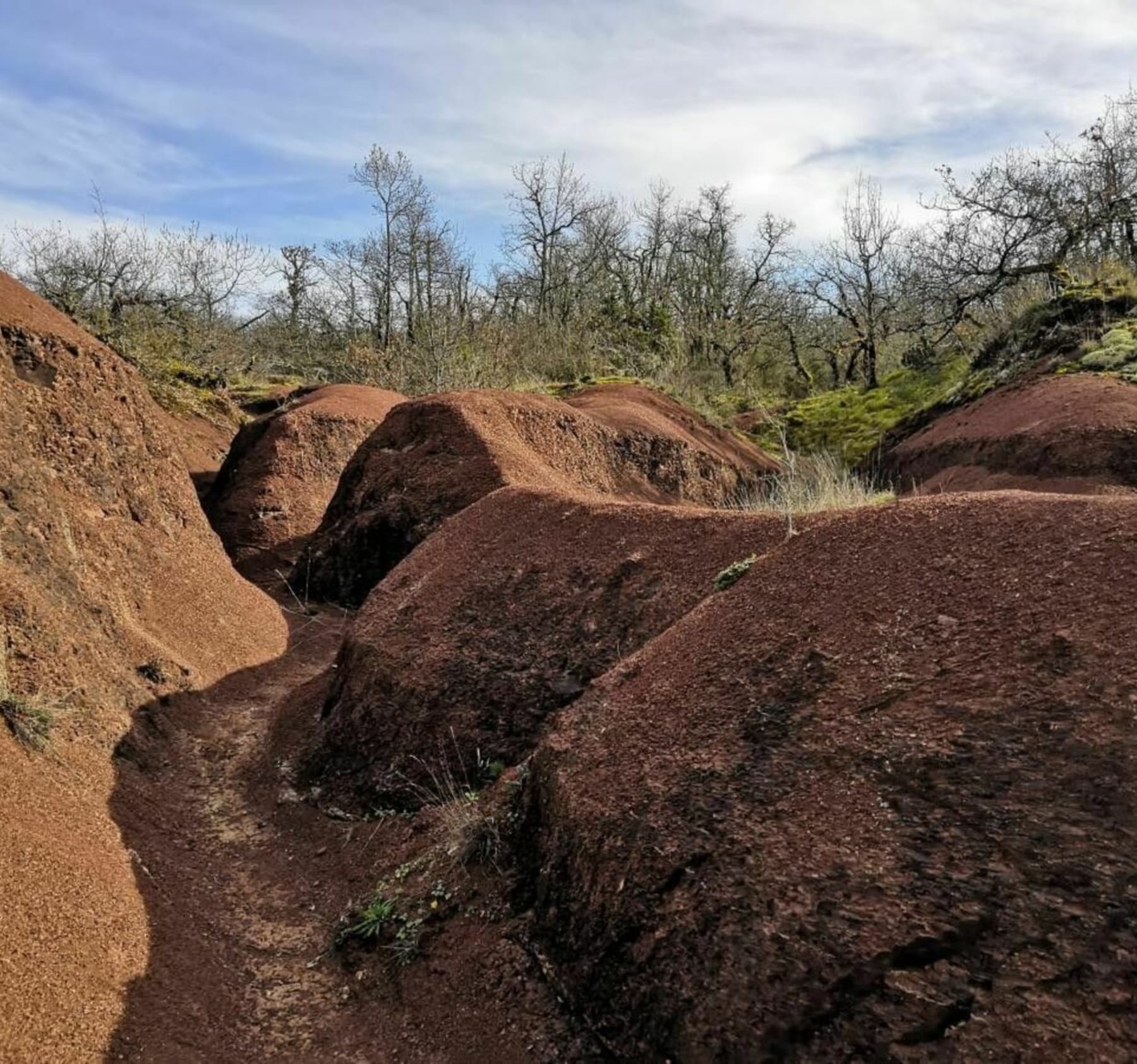 Randonnée Cordes-sur-Ciel - A la découverte des Dunes de Maraval à VTT