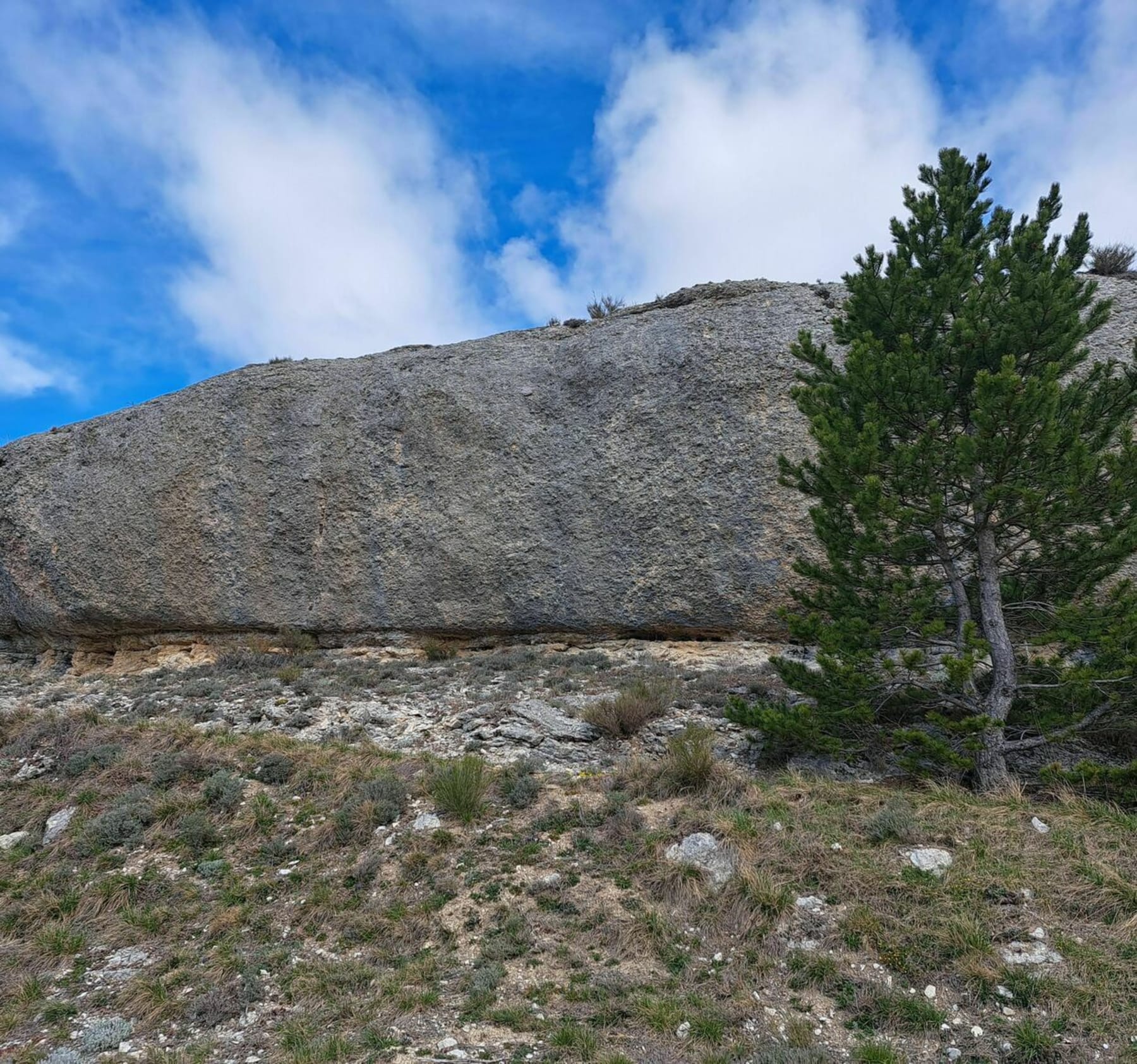 Randonnée Saint-Geniez - La Pierre Ecrite par la Baleine