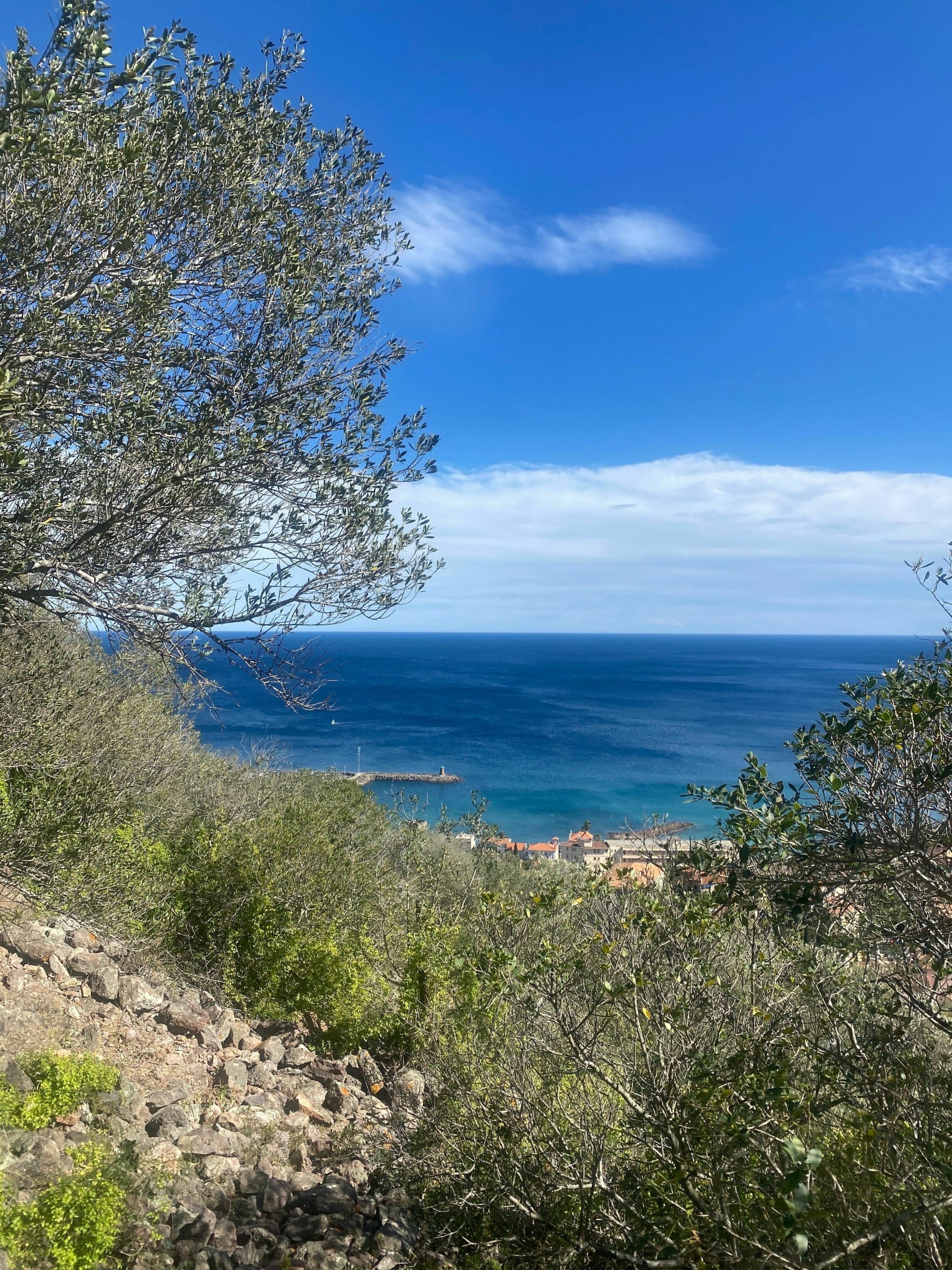 Randonnée Mandelieu-la-Napoule - San Peyre par la face nord à Mandelieu