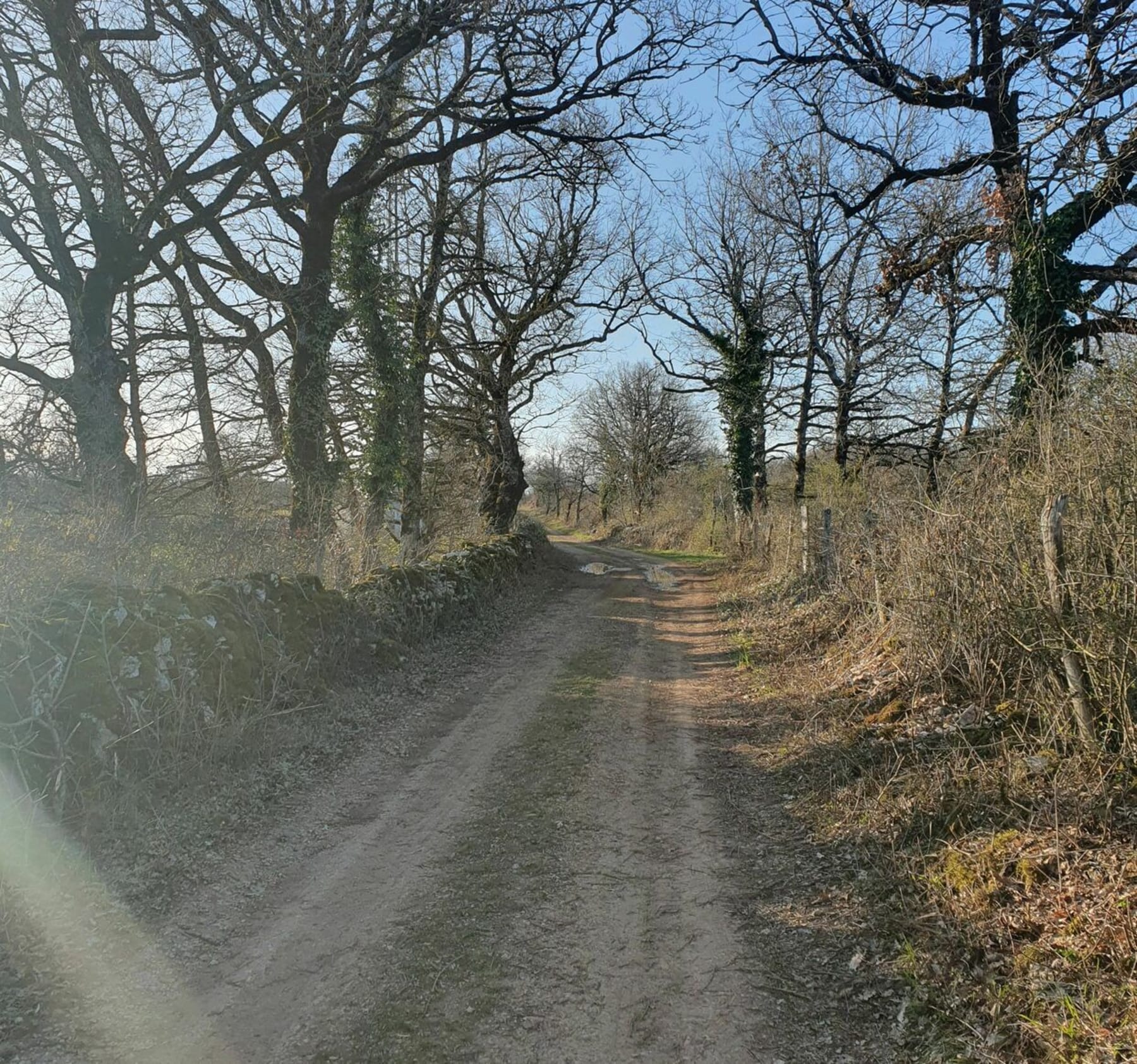 Randonnée Montrozier - Petite  balade de fin de journée sur le Causse