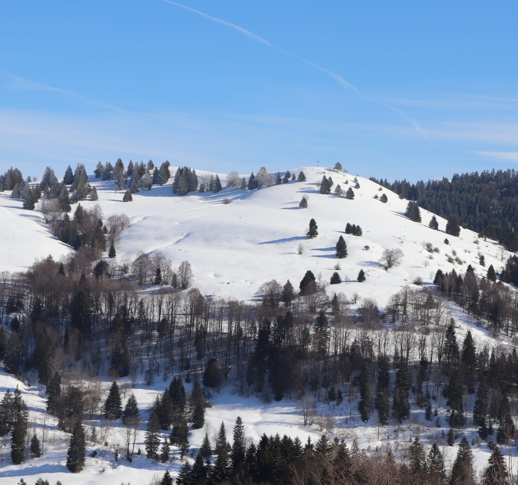 Randonnée Aillon-le-Jeune - Excursion enneigée au Mont Morbié et Chalets de la Fullie