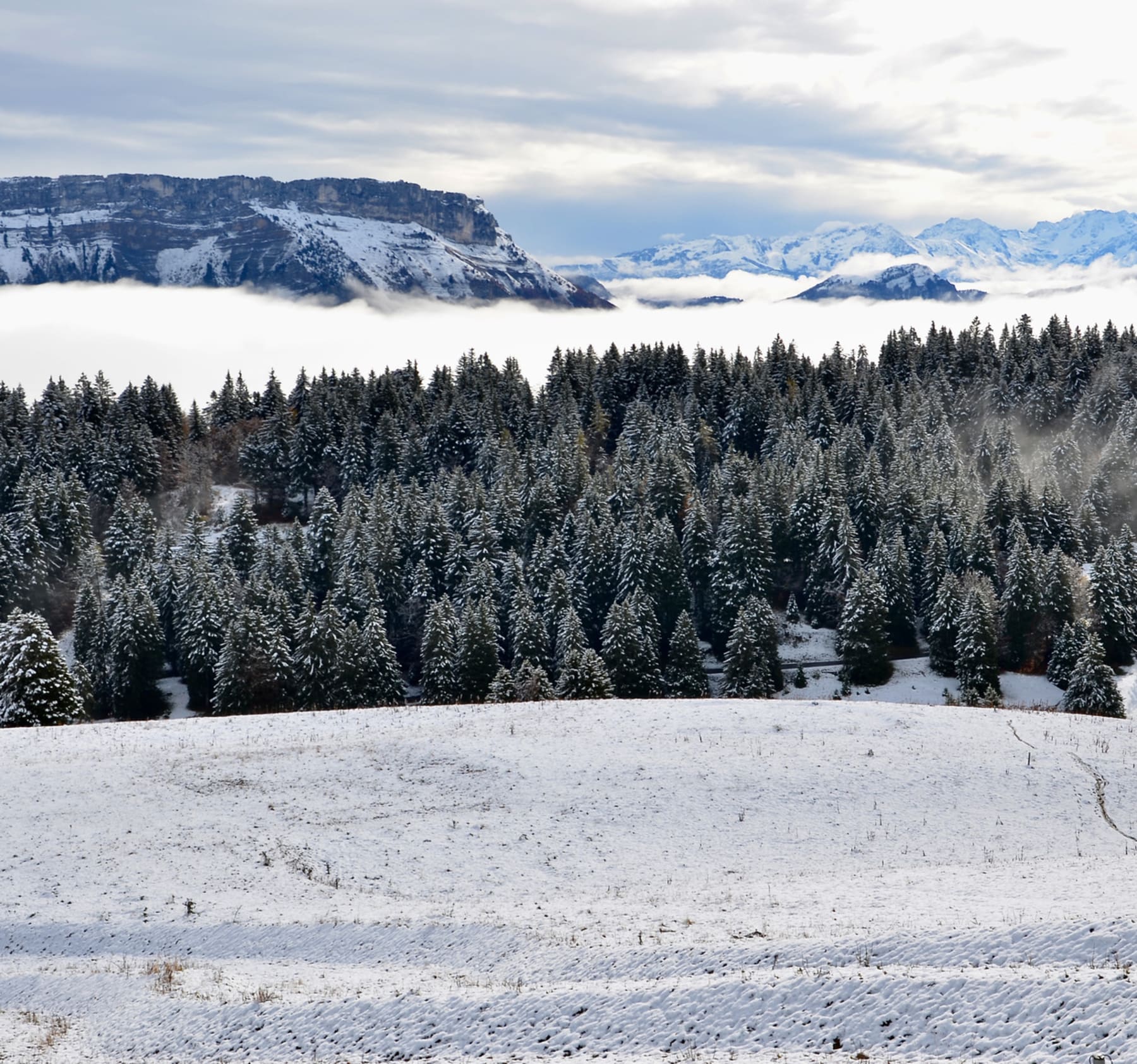 Randonnée Aillon-le-Jeune - Excursion enneigée au Mont Morbié et Chalets de la Fullie