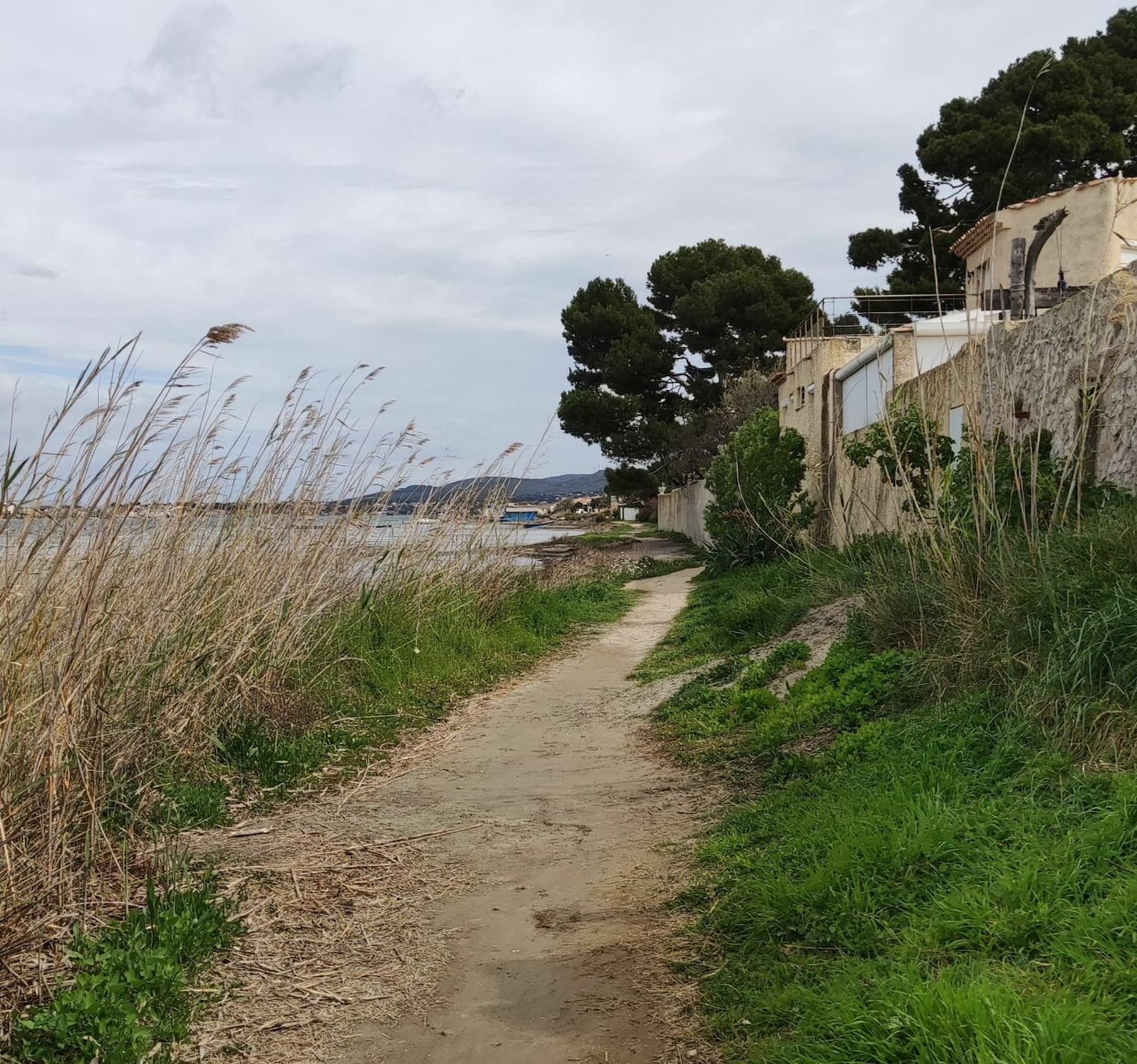 Randonnée Sète - Entre Thau et Saint-Clair