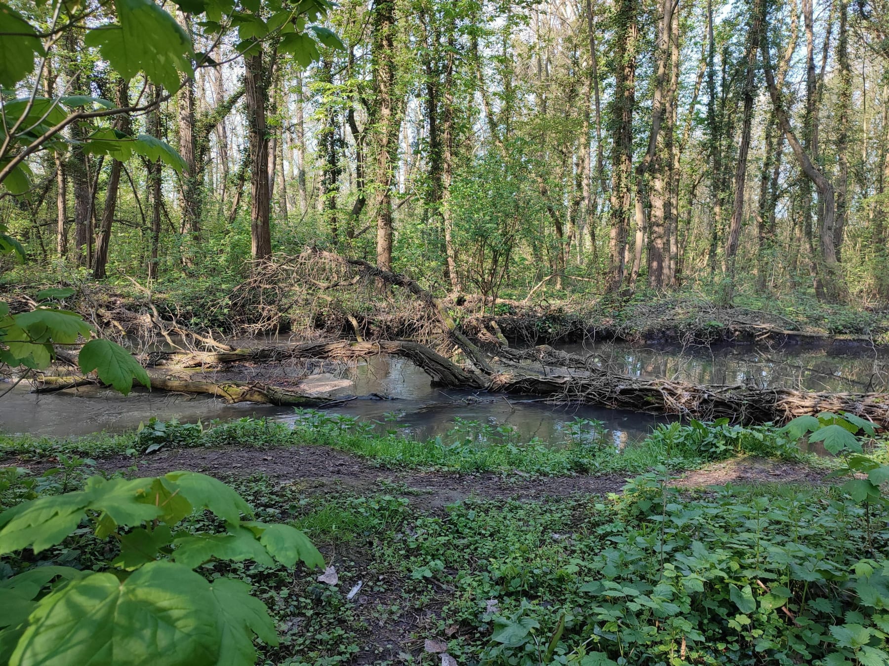 Randonnée Liancourt - La bréche