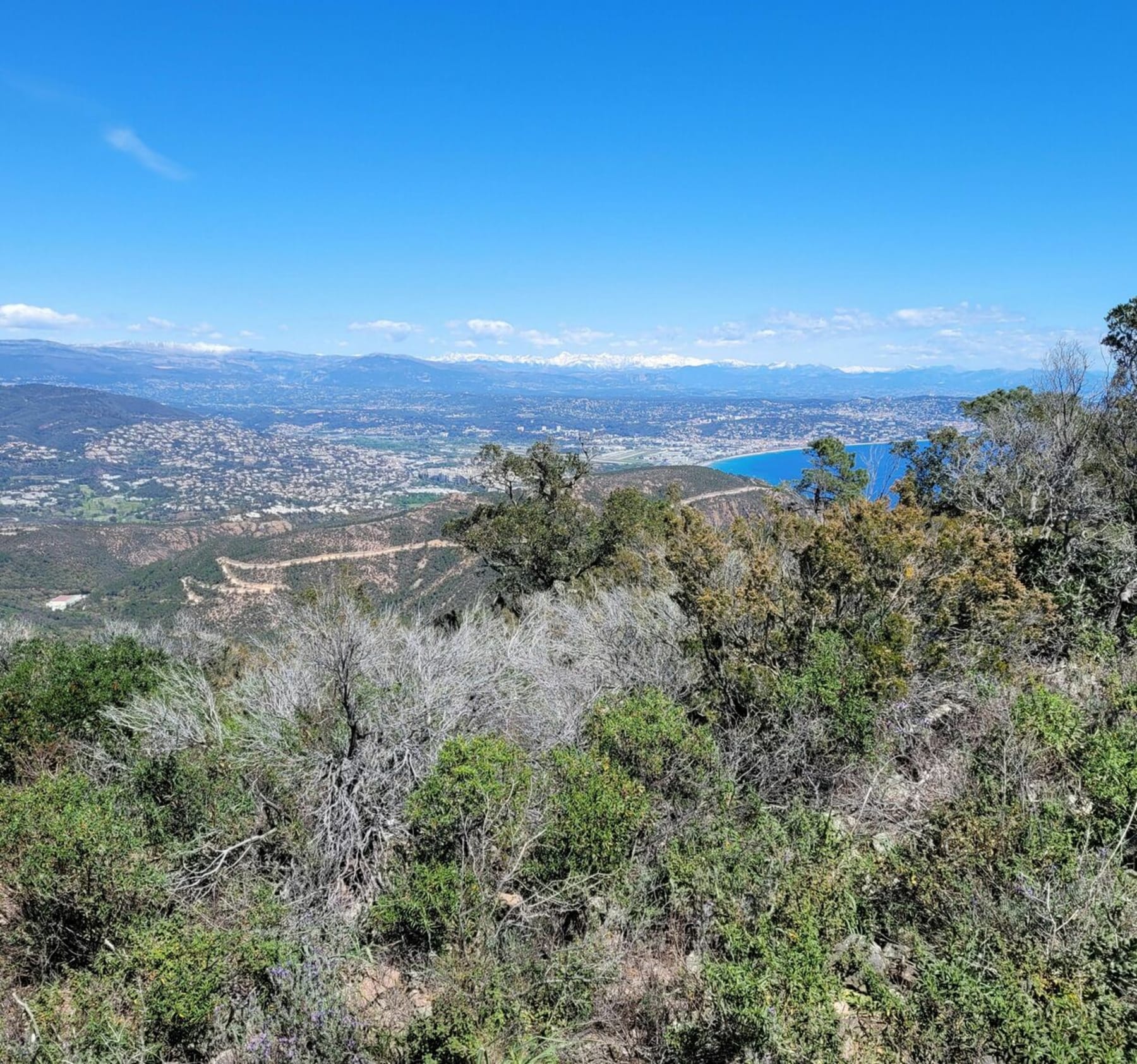 Randonnée Théoule-sur-Mer - Ascension des Grandes Grues dans le massif de l'Esterel