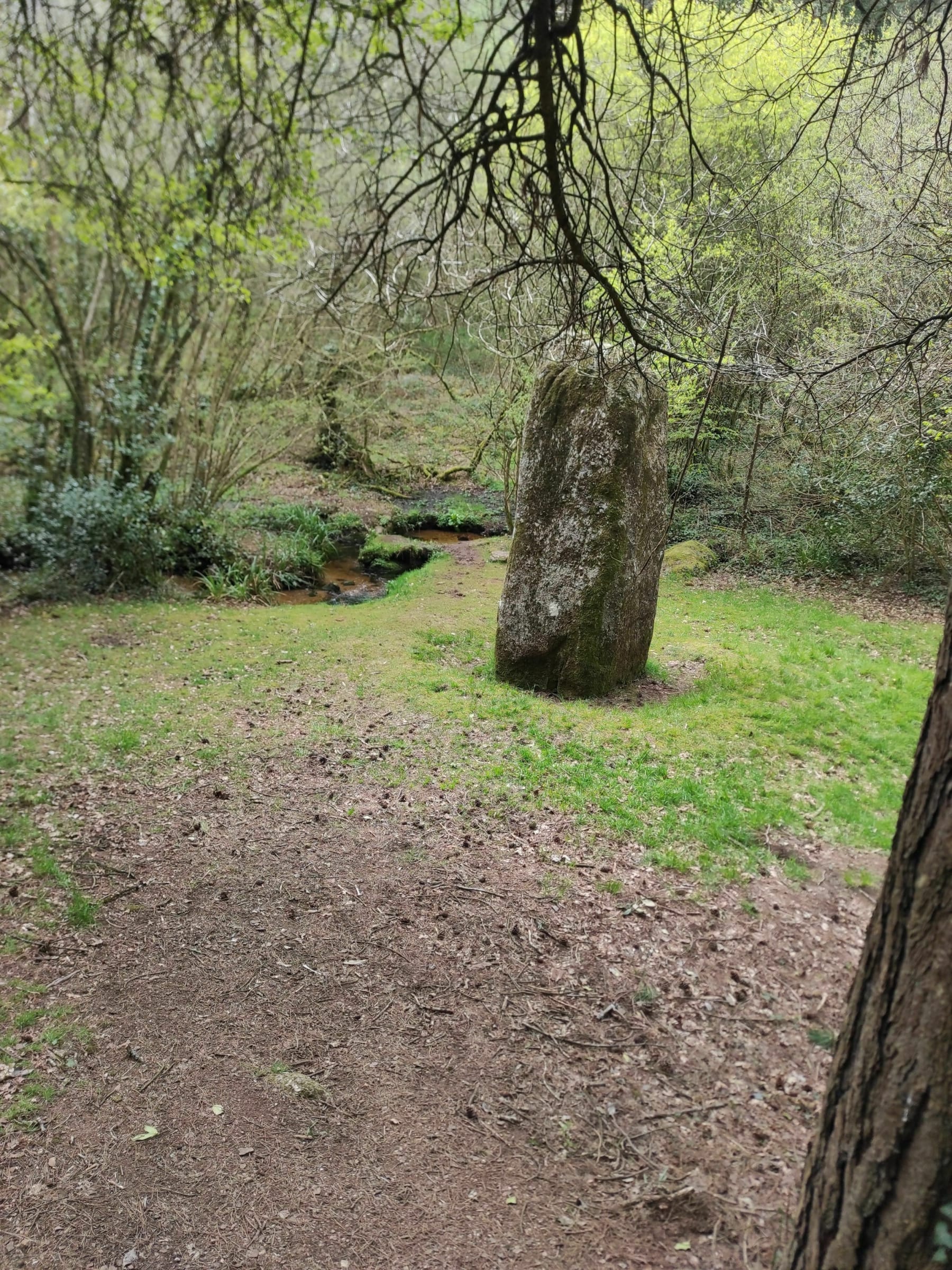 Randonnée Plésidy - Le menhir de Toul-du et son court d'eau