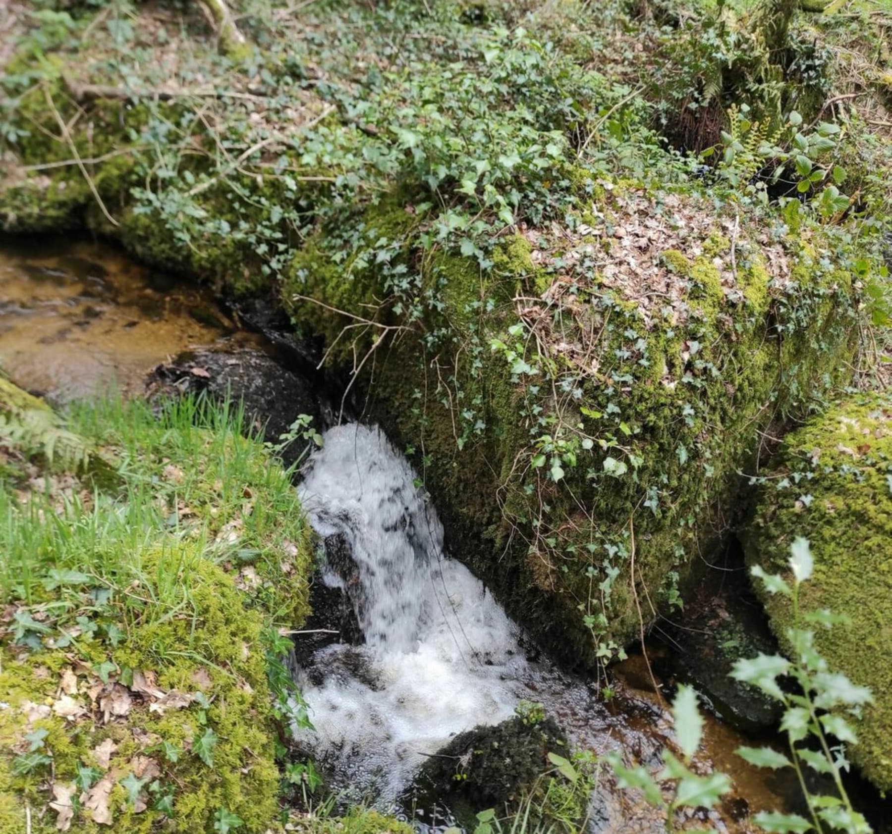 Randonnée Plésidy - Le menhir de Toul-du et son court d'eau