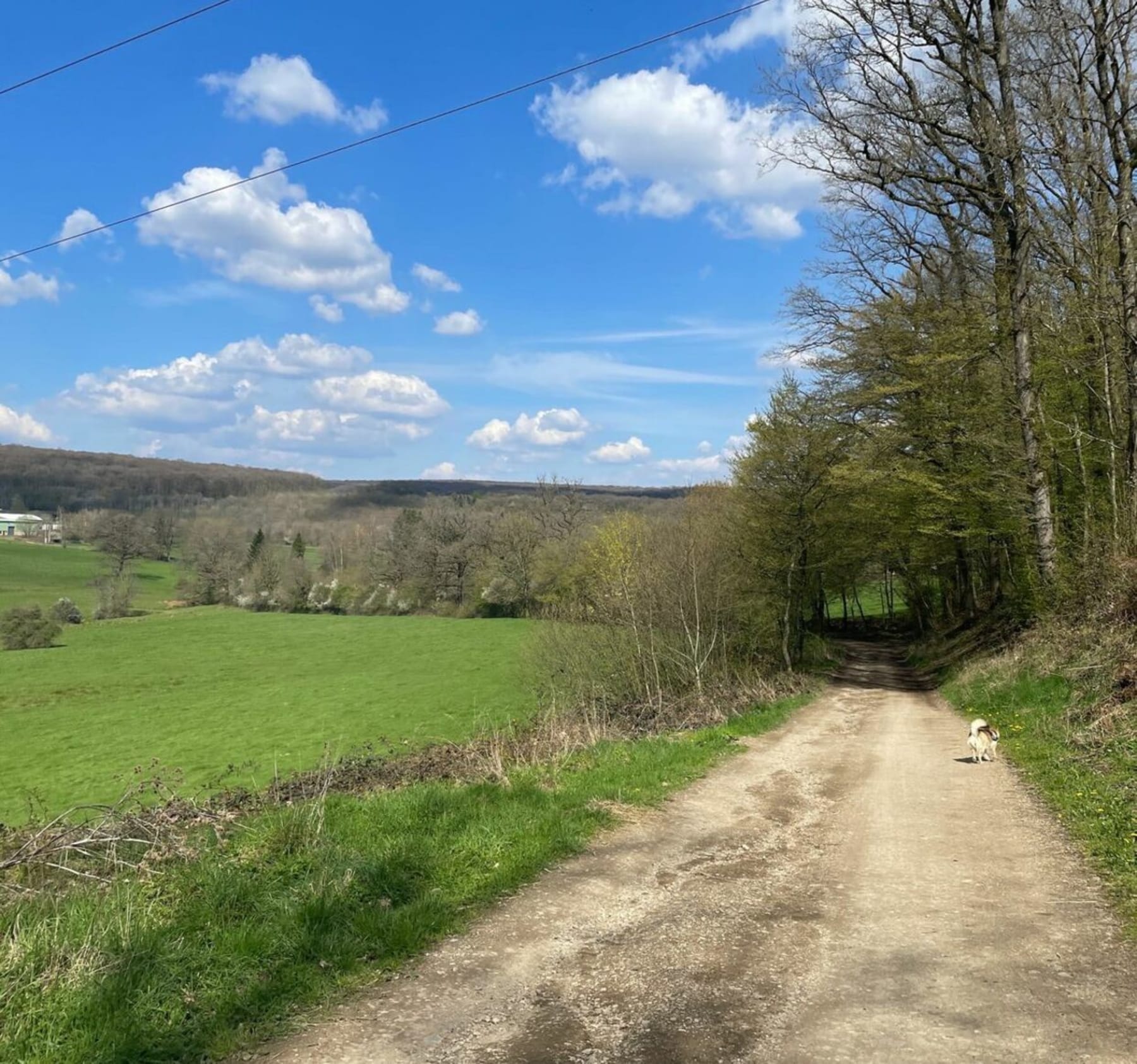 Randonnée Montcy-Notre-Dame - Forêt Montcéenne par Champeaux