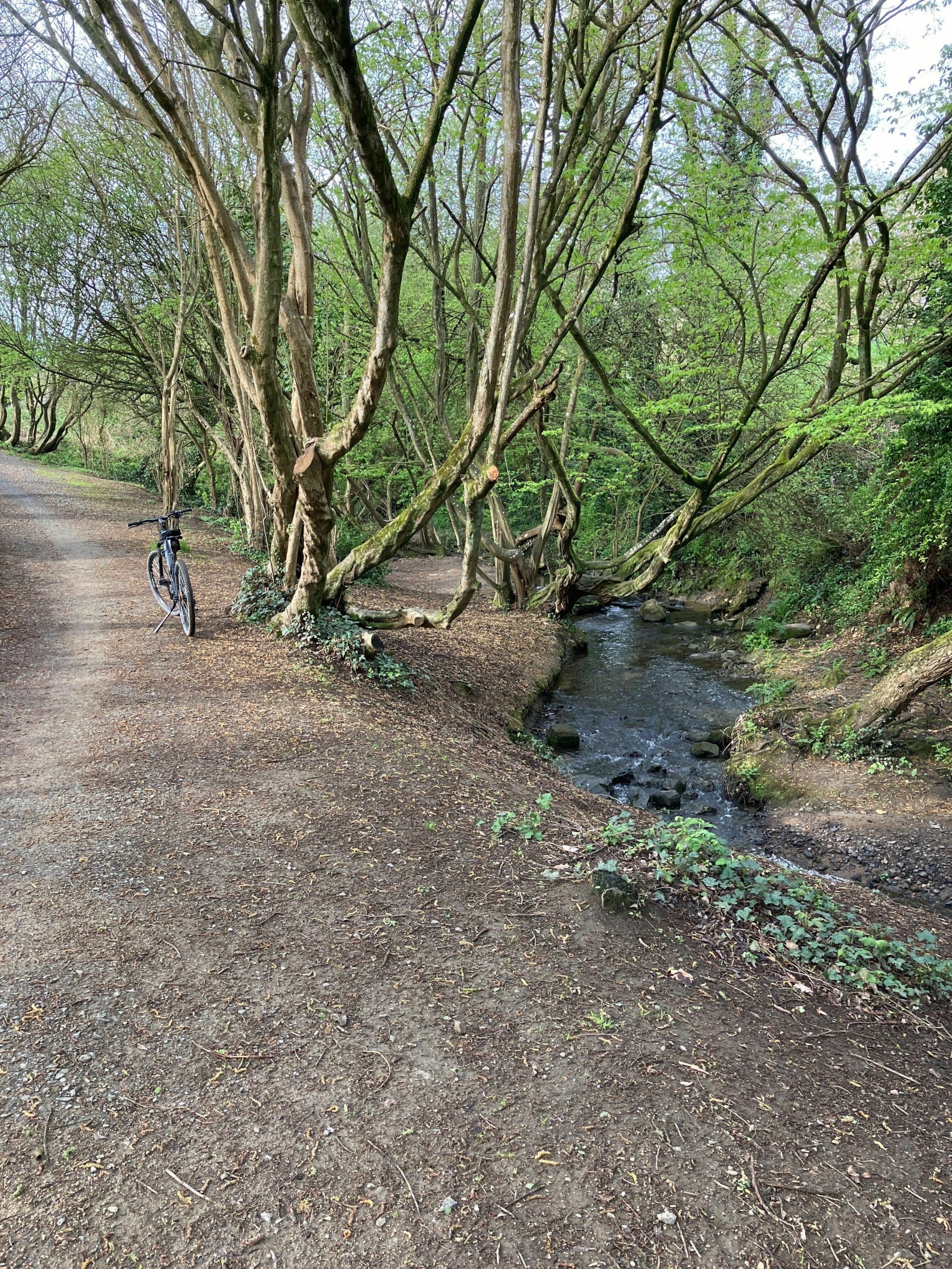 Randonnée Trégueux - Découverte de la vallée du Goëlo : facile à pied ou à vélo