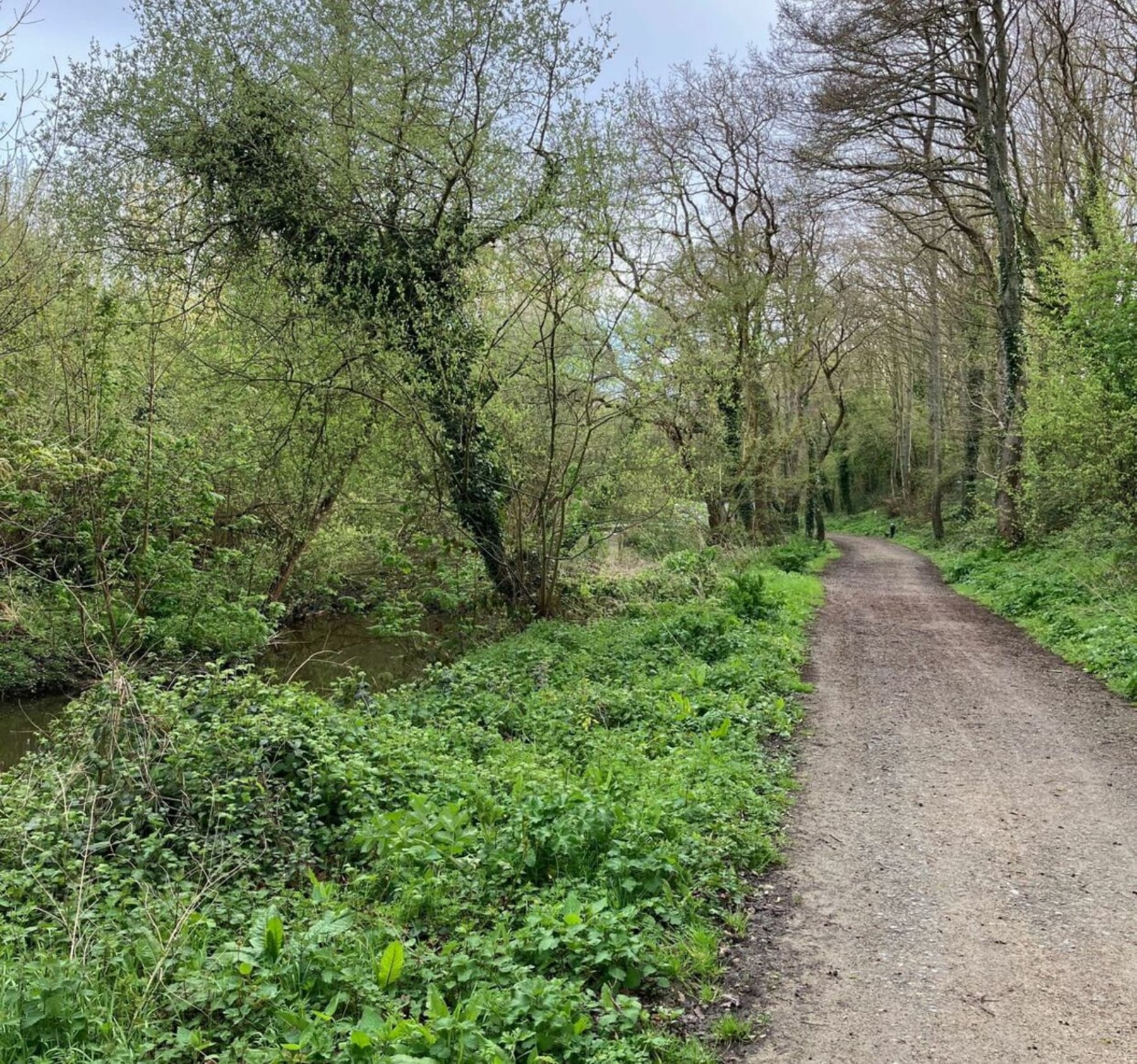 Randonnée Trégueux - Découverte de la vallée du Goëlo : facile à pied ou à vélo