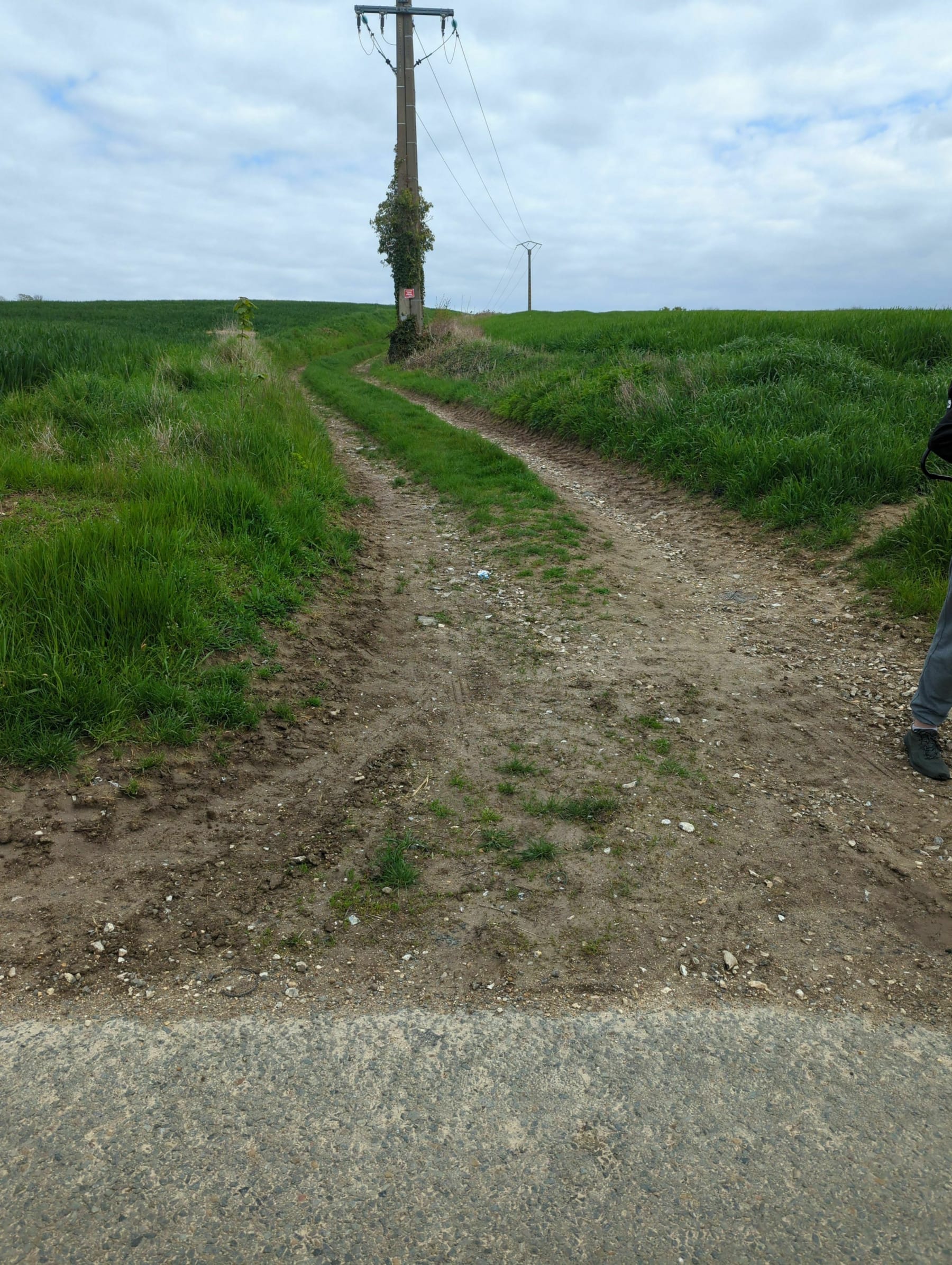 Randonnée Bornel - Plaine et forêt au départ de Fosseuse