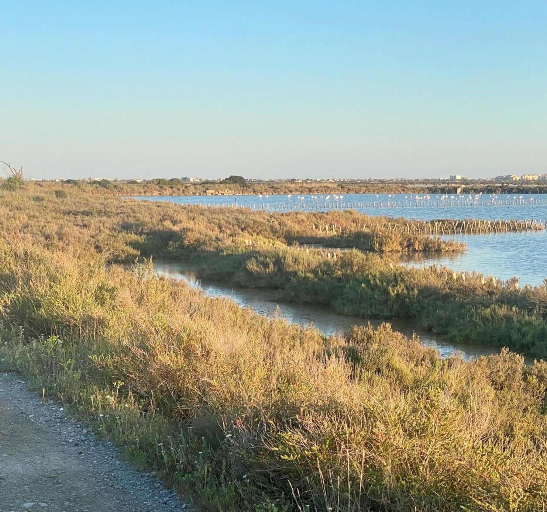 Randonnée Balaruc-le-Vieux - Rando VTTAE entre Balaruc et Sète