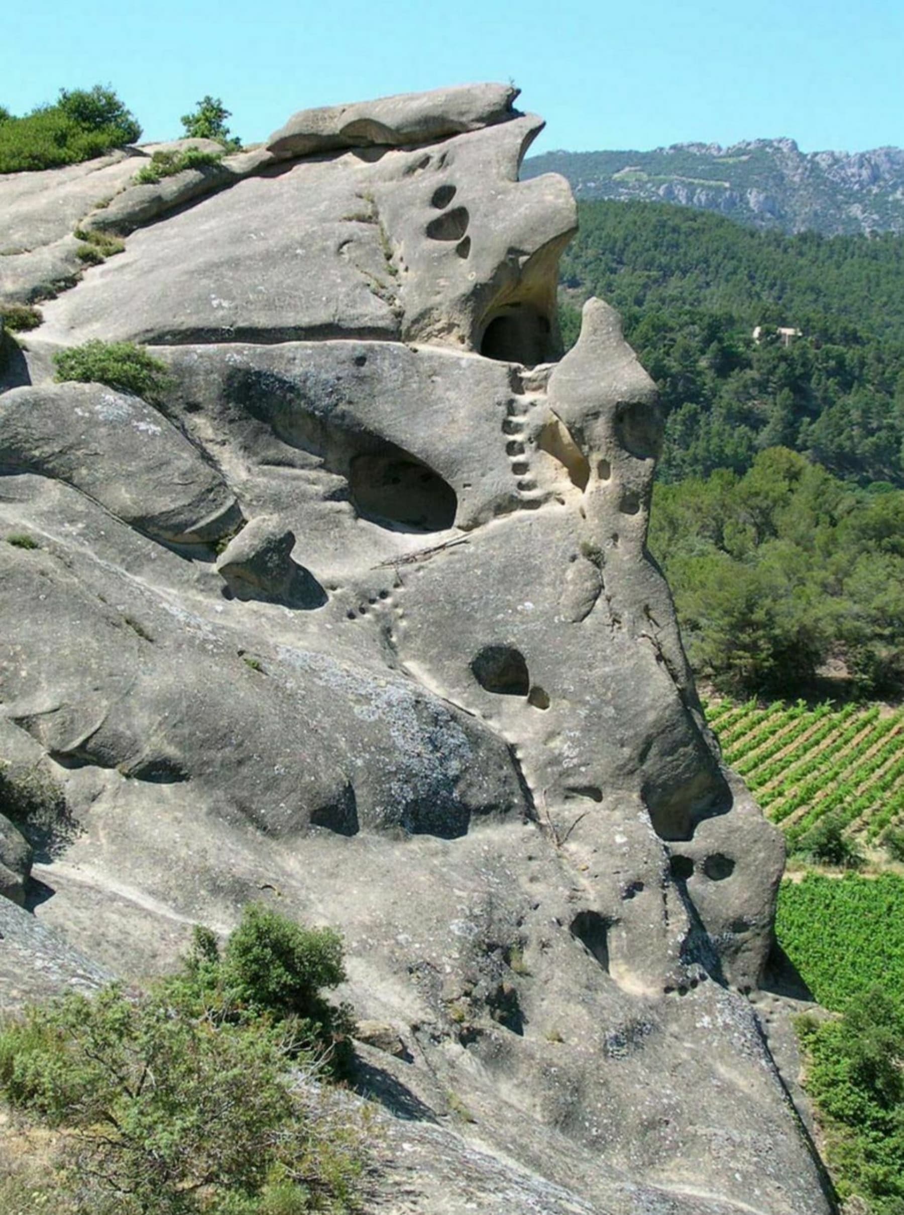 Randonnée Caromb - De Caromb par Beaumes de Venise et Aubignan à Vélo dans les vignobles