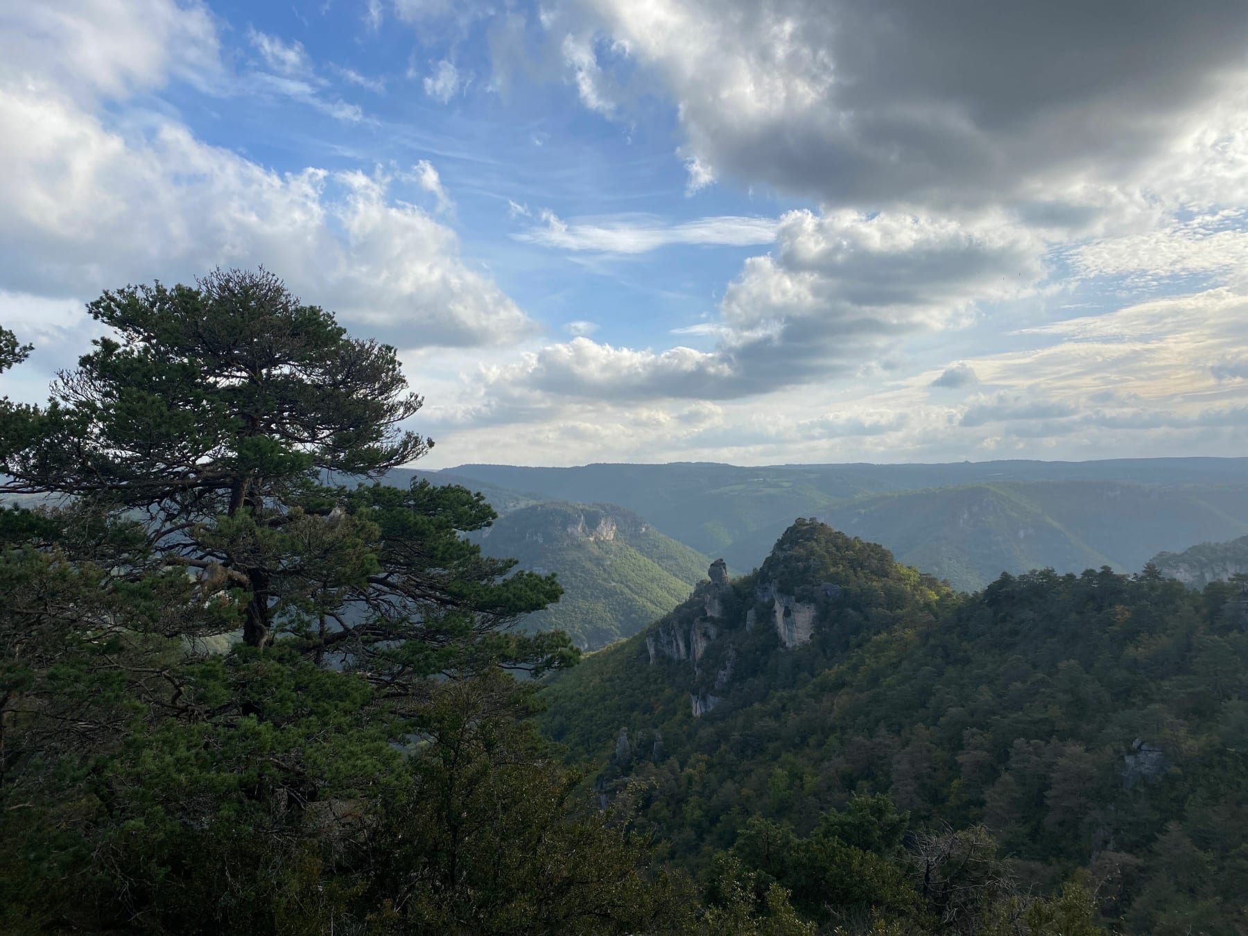 Randonnée Millau - Balade autour de Longuiers