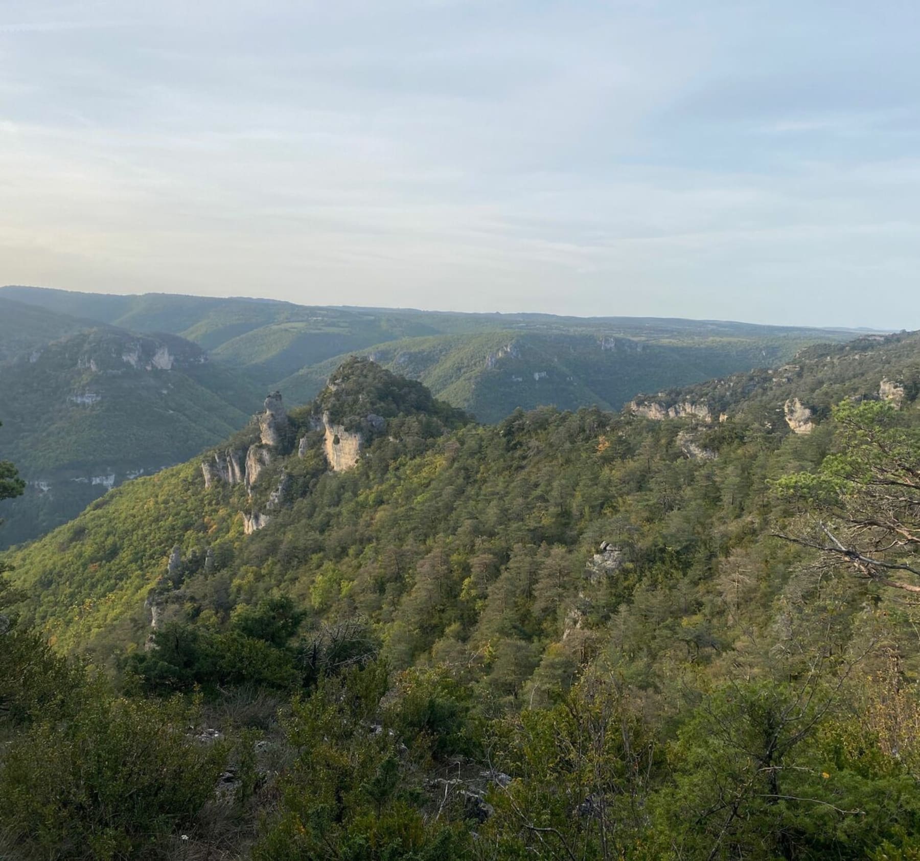 Randonnée Millau - Balade autour de Longuiers