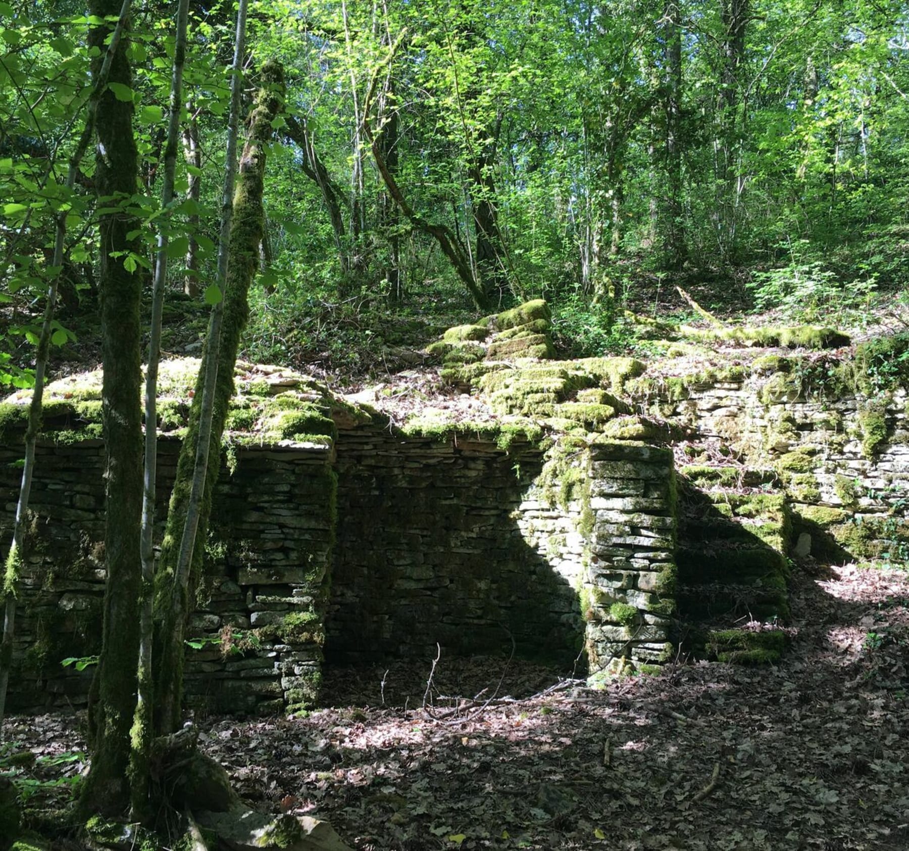 Randonnée Échevronne - Randonnée au départ d'Échevronne