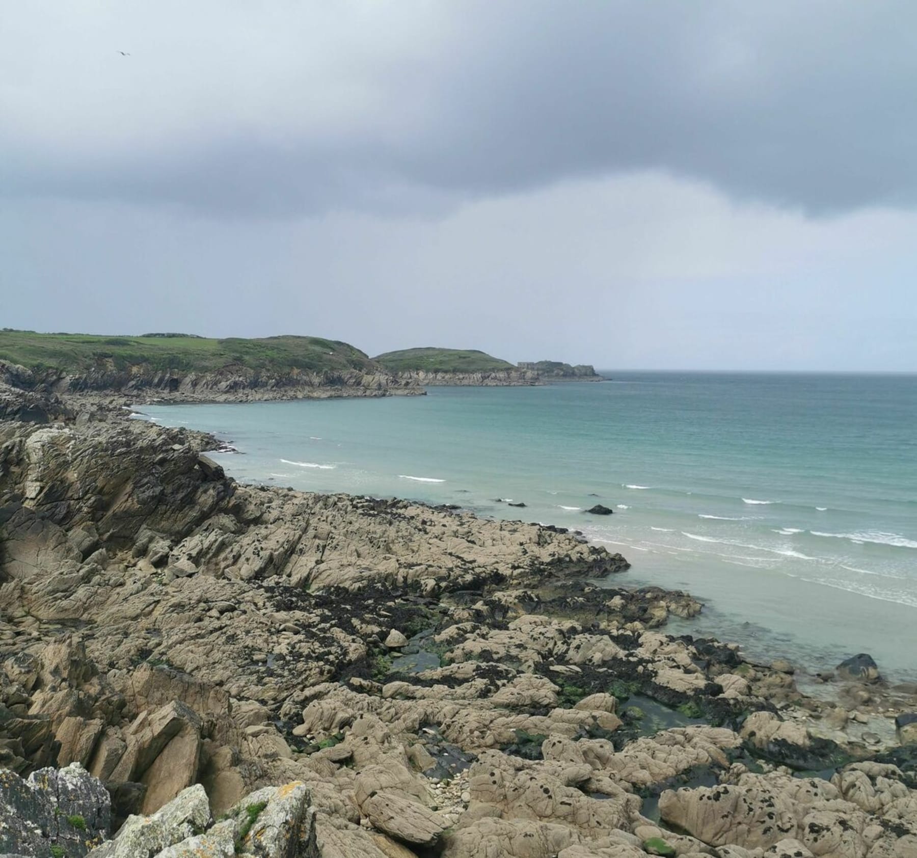 Randonnée Le Conquet - La presqu'île de Kermorvan