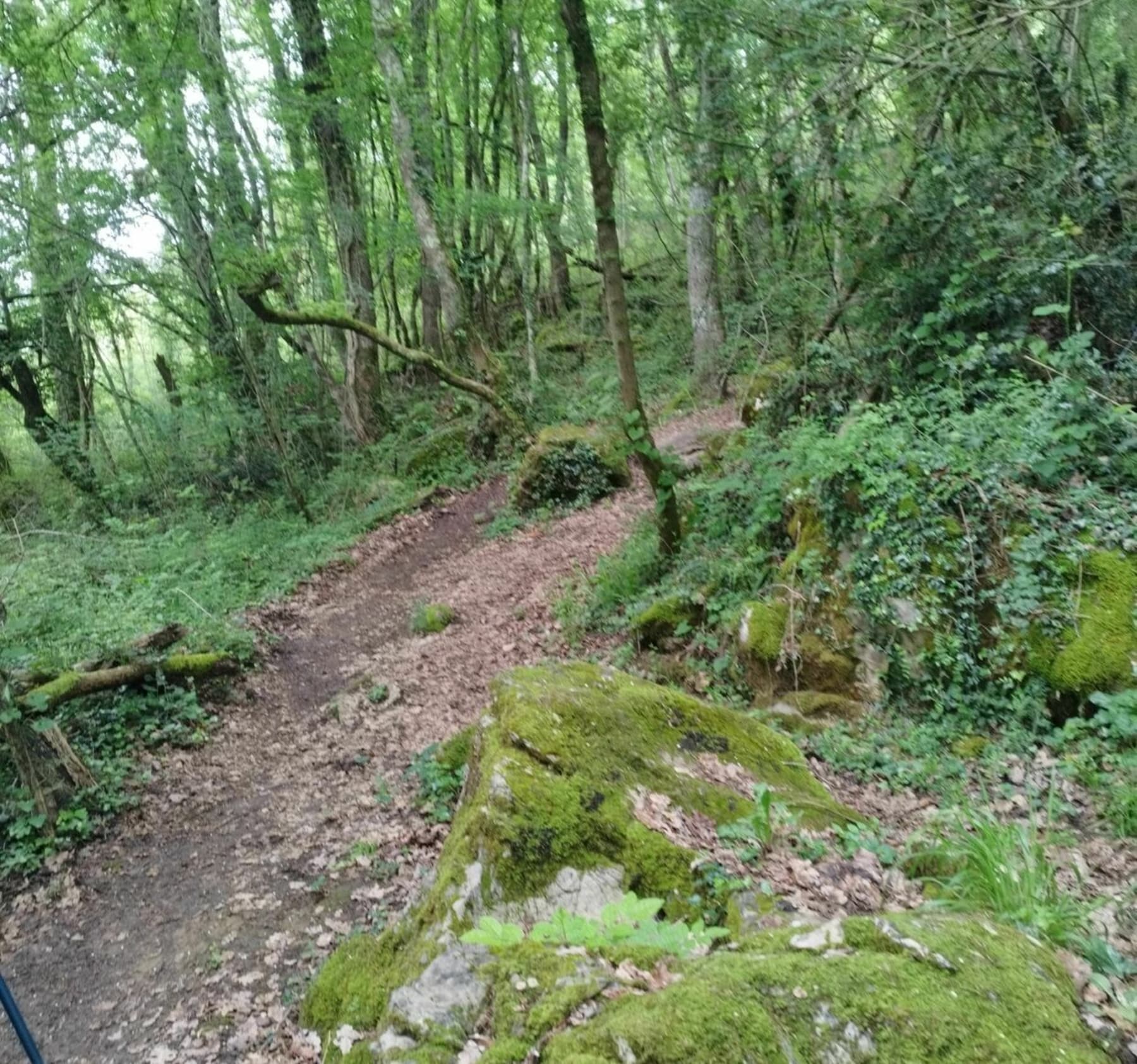 Randonnée Saint-Lizier - Le Tuc du Moncalivert en Ariège