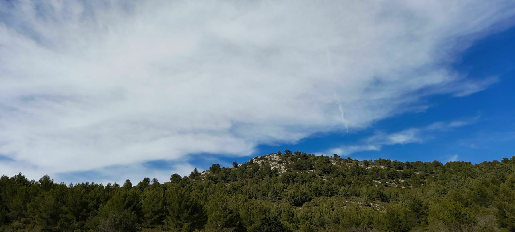 Randonnée Cuges-les-Pins - Balade dans les vallons de Riboux et massif de la Sainte-Baume