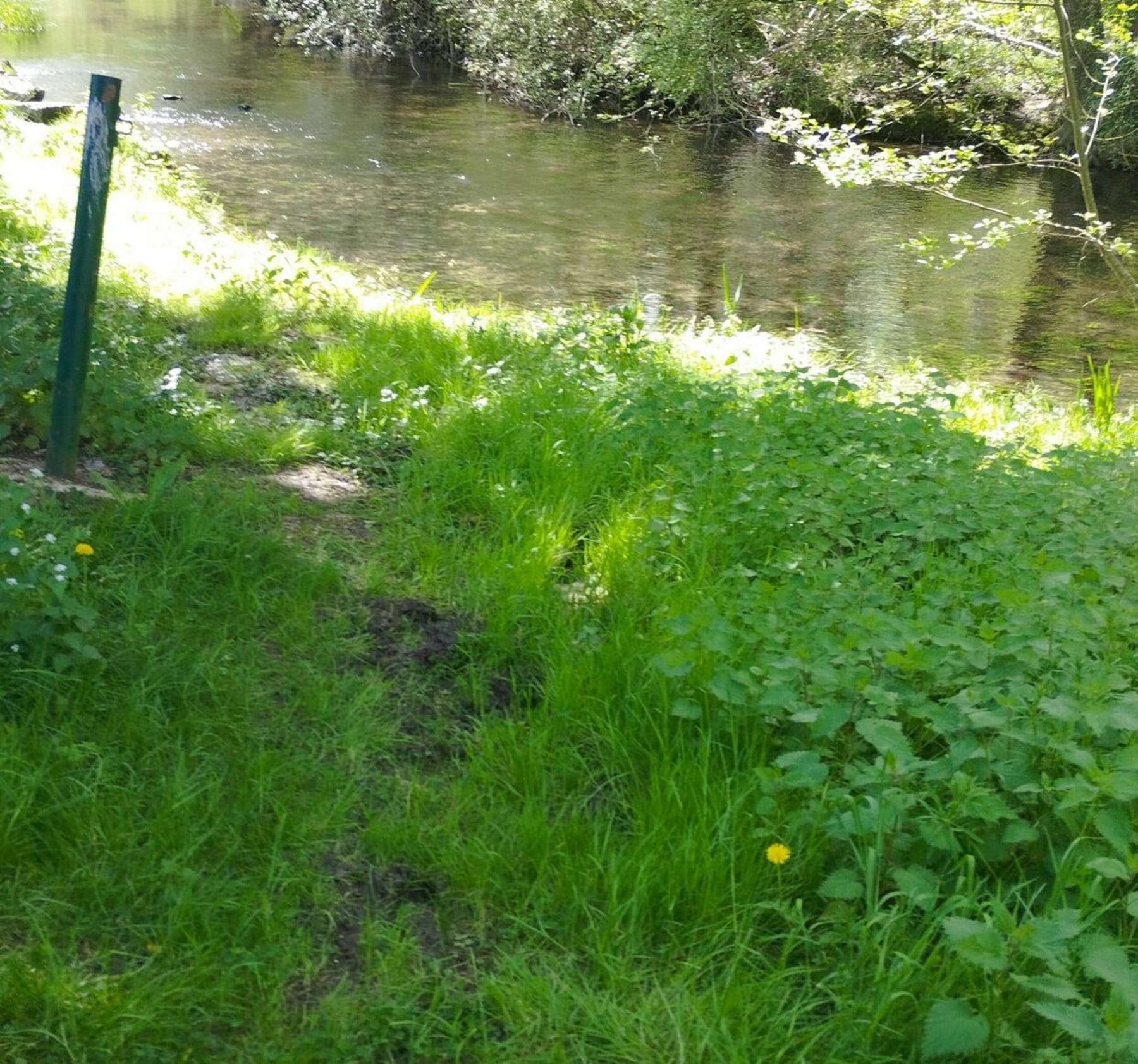 Randonnée Sommières-du-Clain - Coin de campagne entre champs et bois à la Pellouelle