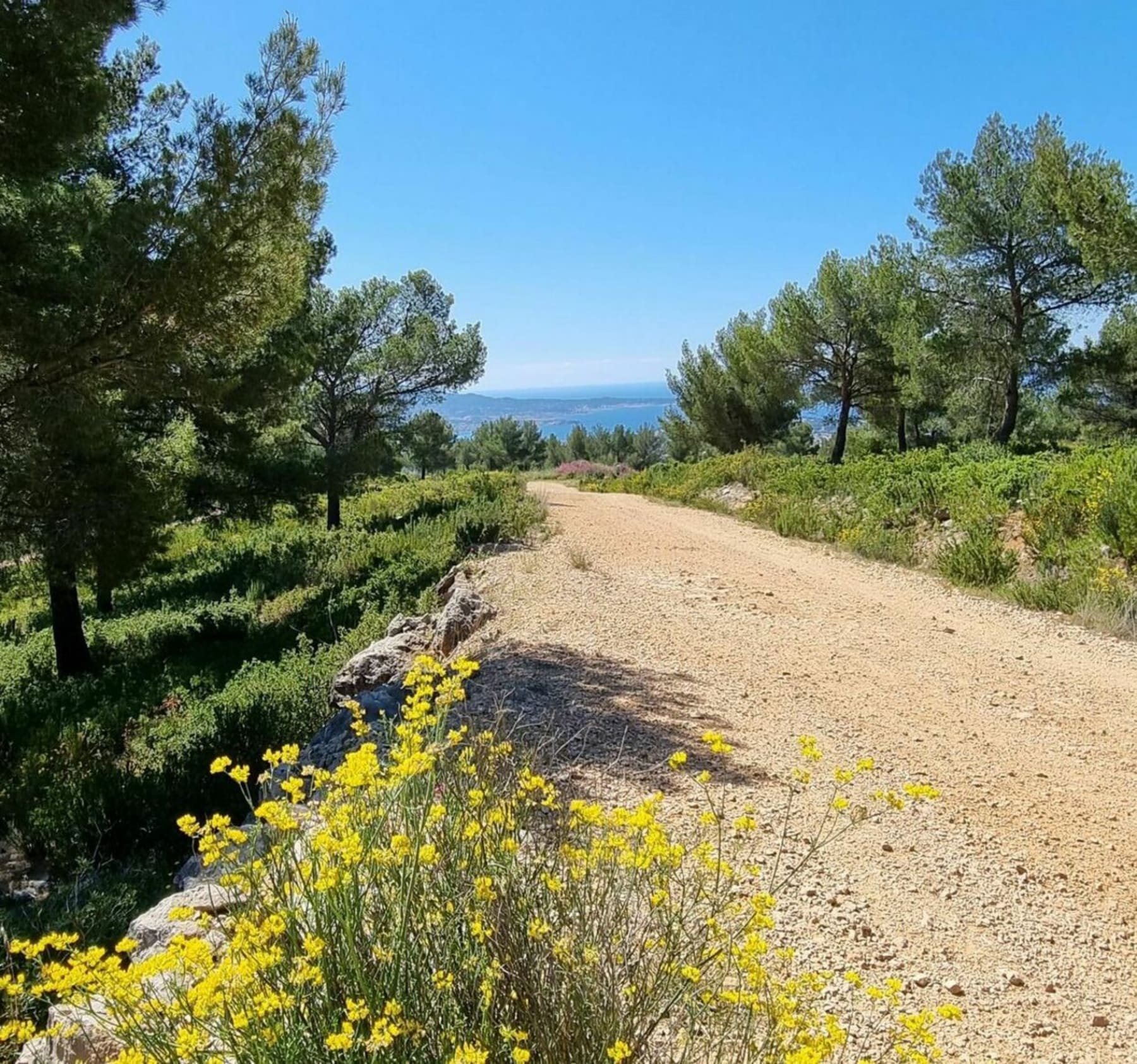 Randonnée Sanary-sur-Mer - Randonnée La roche Curadeau, Gros Cerveau