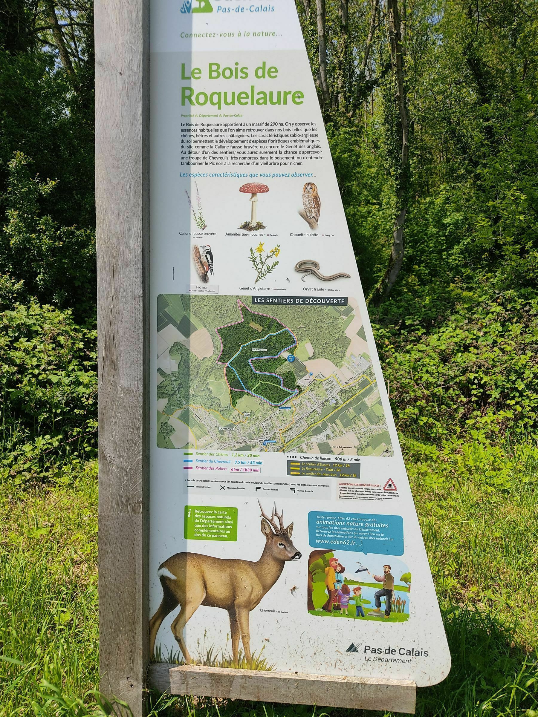 Randonnée Lapugnoy - Bois Roquelaure en Chemin de la Vasserie