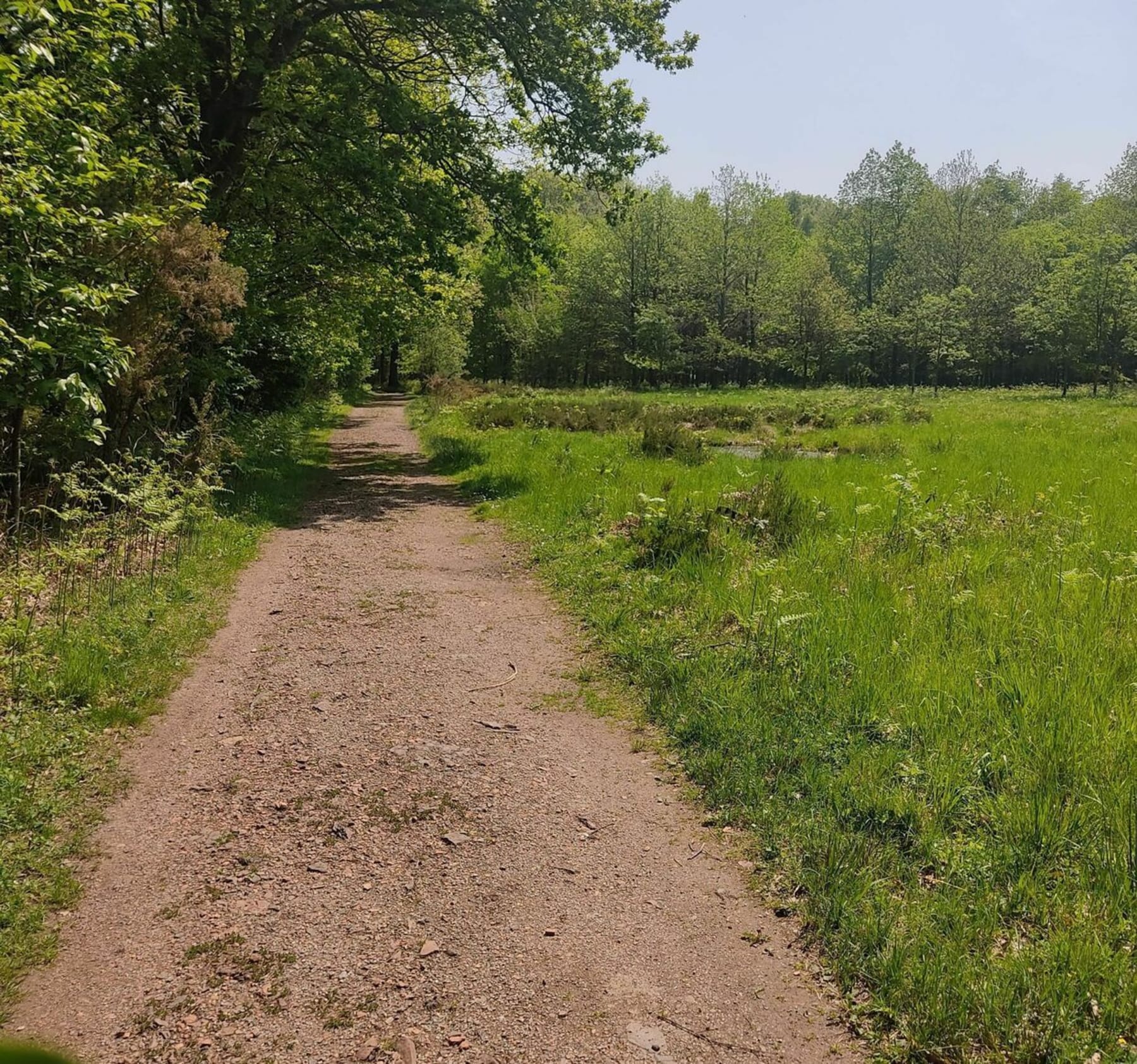 Randonnée Lapugnoy - Bois Roquelaure en Chemin de la Vasserie