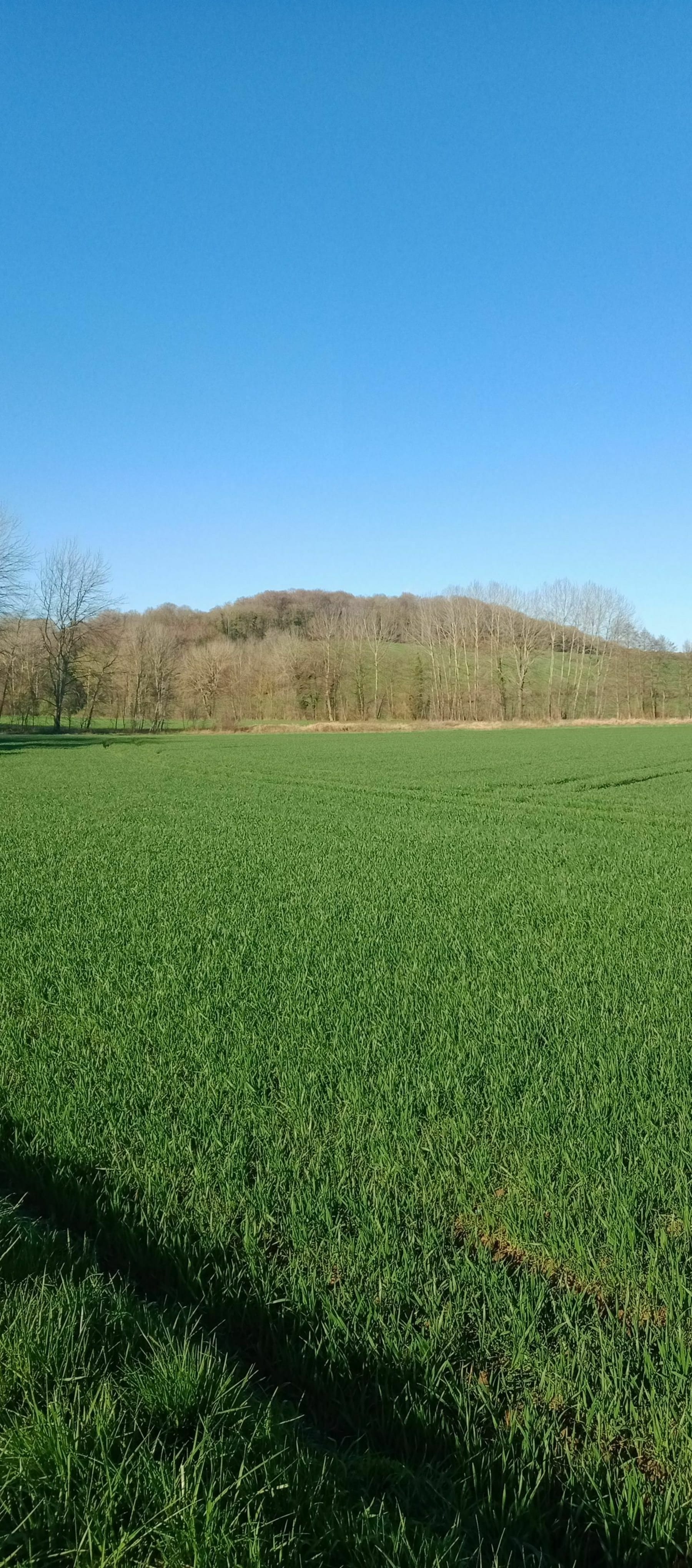 Randonnée Soissons - Belle balade entre Soissons Mercin-et-Vaux est Pernant