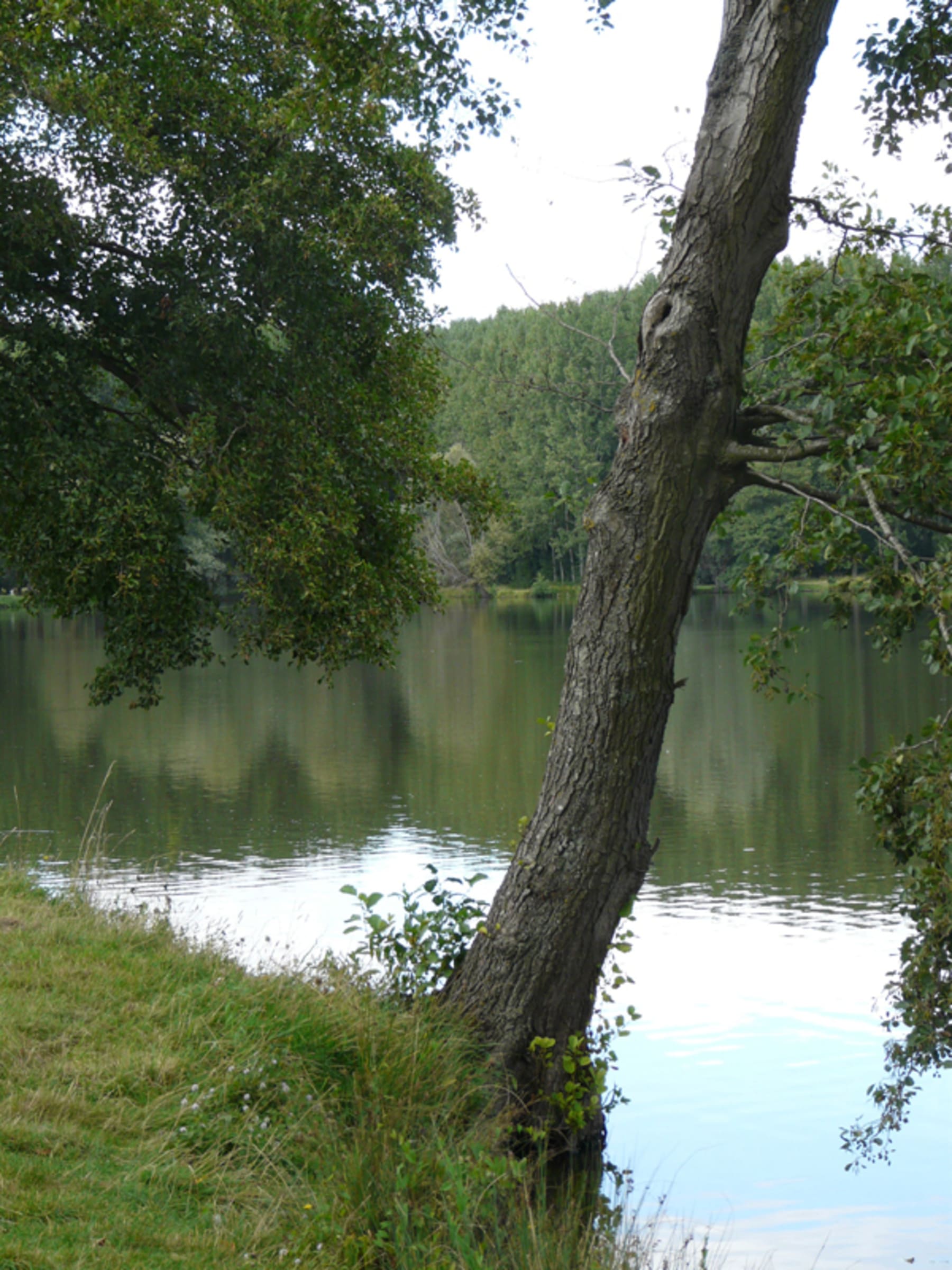 Randonnée Barjouville - La prairie