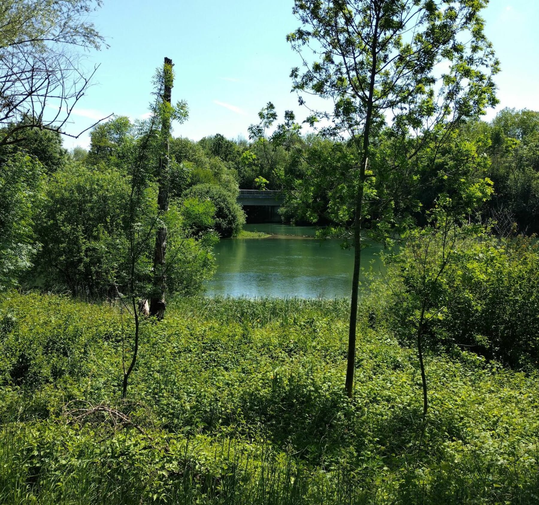 Randonnée Conflans-sur-Seine - Que le bruit du vent dans les arbres et le chant des oiseaux le long de la Voie Conflans