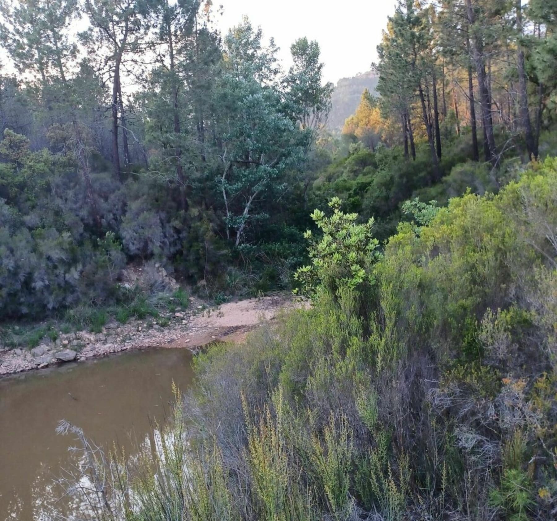 Randonnée Puget-sur-Argens - A deux pas de Fréjus, la Montée de la Pierre du Coucou à VTT