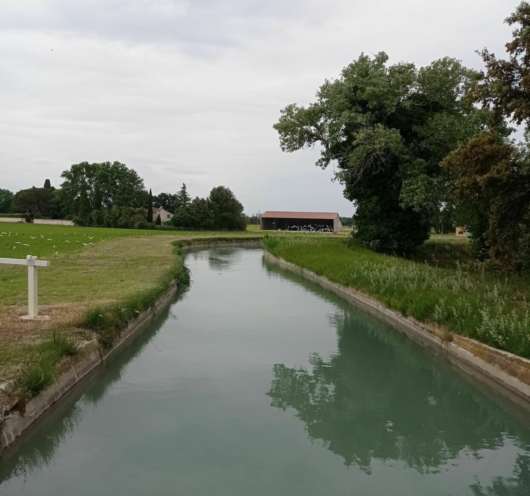 Randonnée Arles - Balade tranquille d'Arles à Moulès