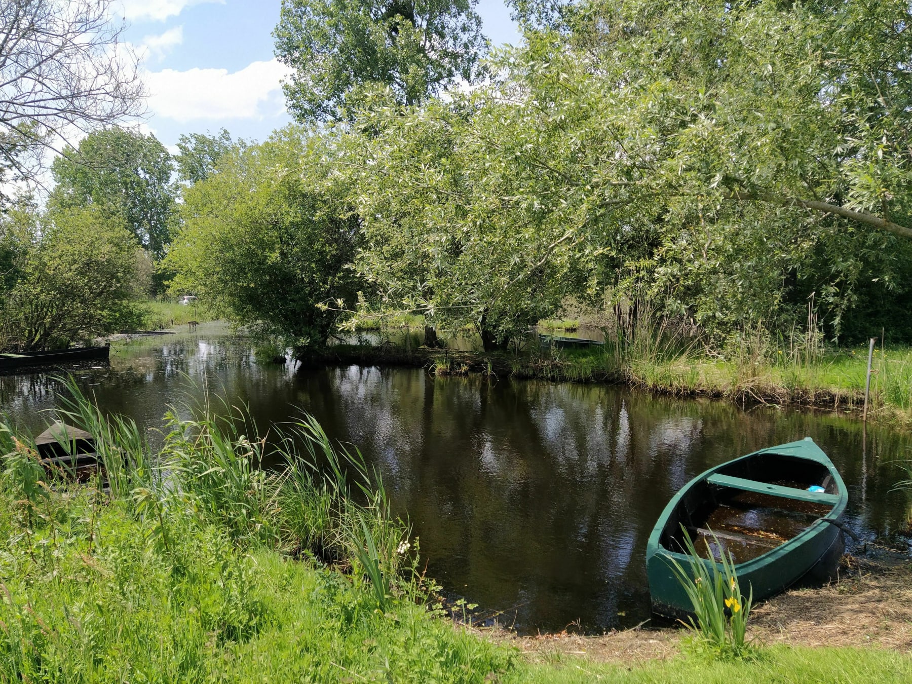 Randonnée Pontchâteau - Découverte de la Brière entre monuments et marrais