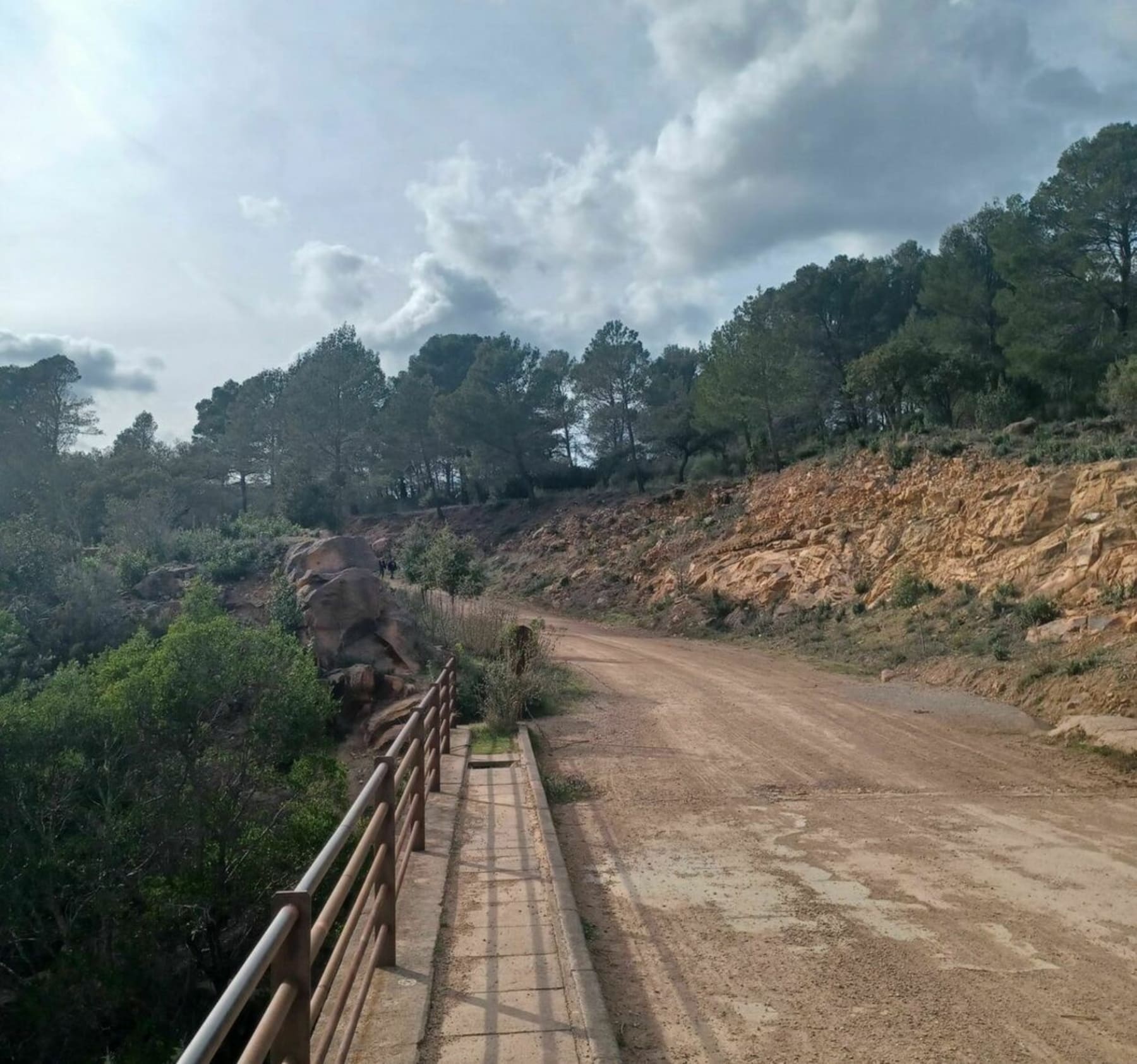 Randonnée Puget-sur-Argens - Belle Balade sur chemins à Puget-sur-Argens côté Roquebrune