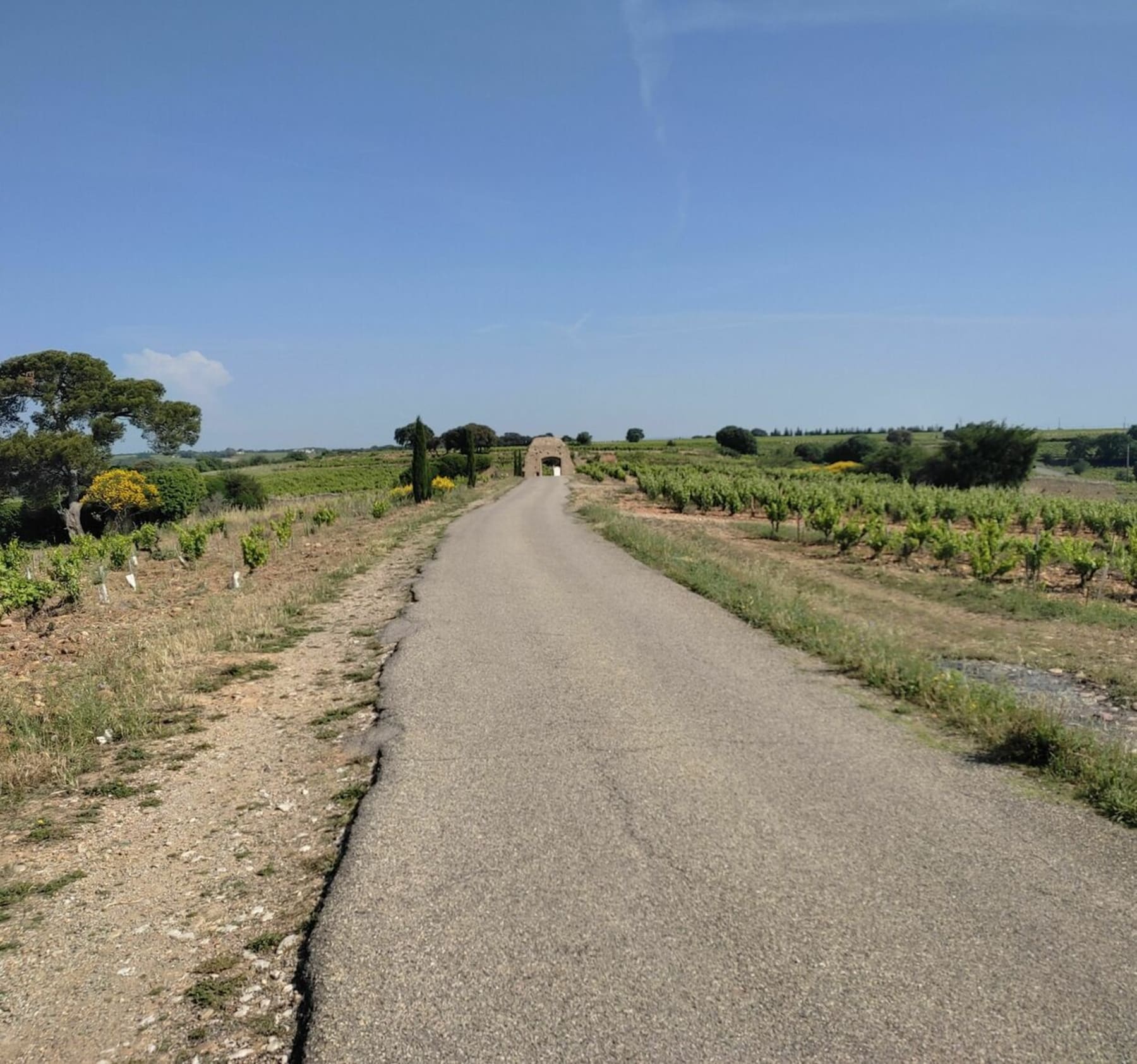 Randonnée Châteauneuf-du-Pape - Châteauneuf-du-Pape par la Via Rhôna par le Plan d'eau de la Lionne à vélo