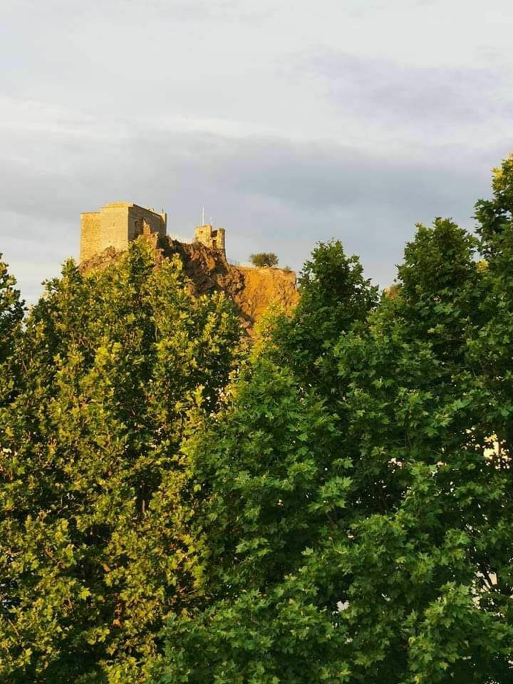 Randonnée La Garde - Entre vignes, figues et petites routes depuis La Garde