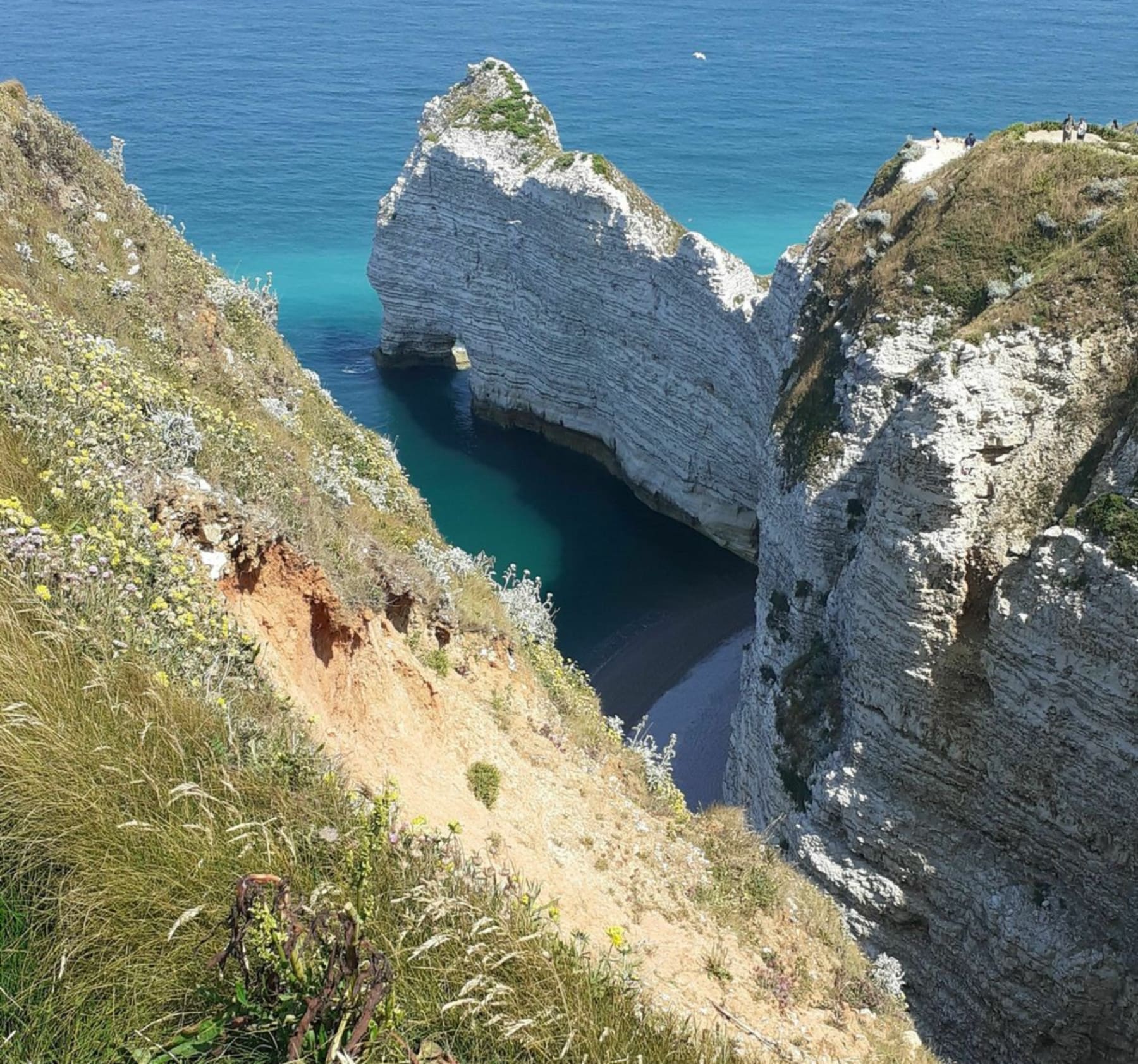 Randonnée Bénouville - Les falaises d’Amont et les falaises d’Aval