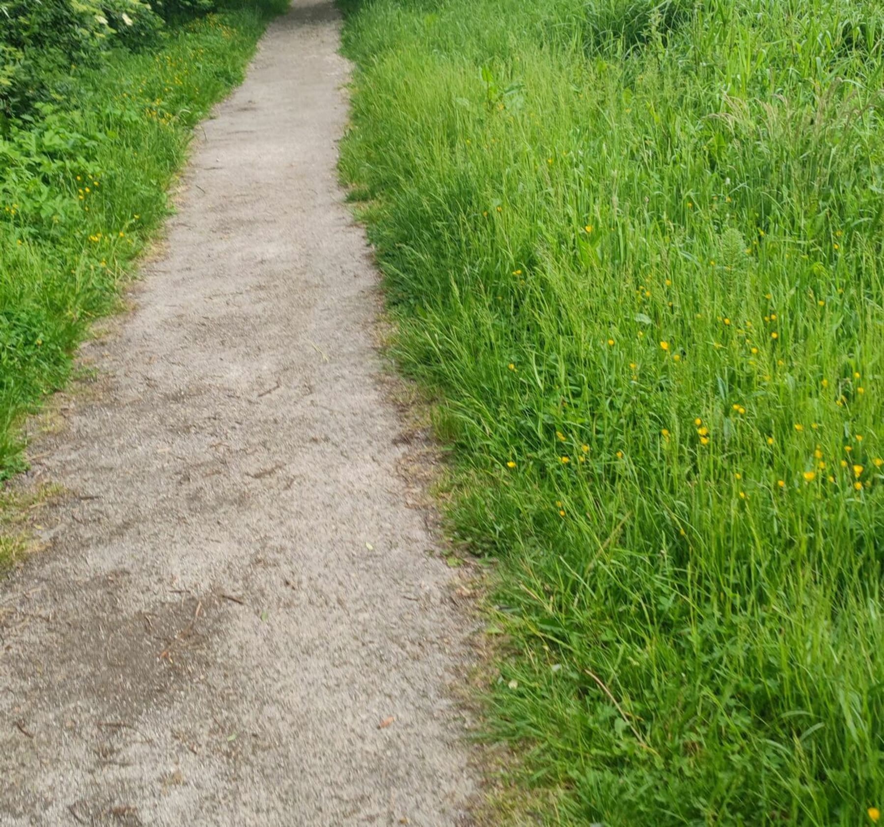 Randonnée Vendin-lès-Béthune - Parcours du cœur à Vendin-lès-Béthune