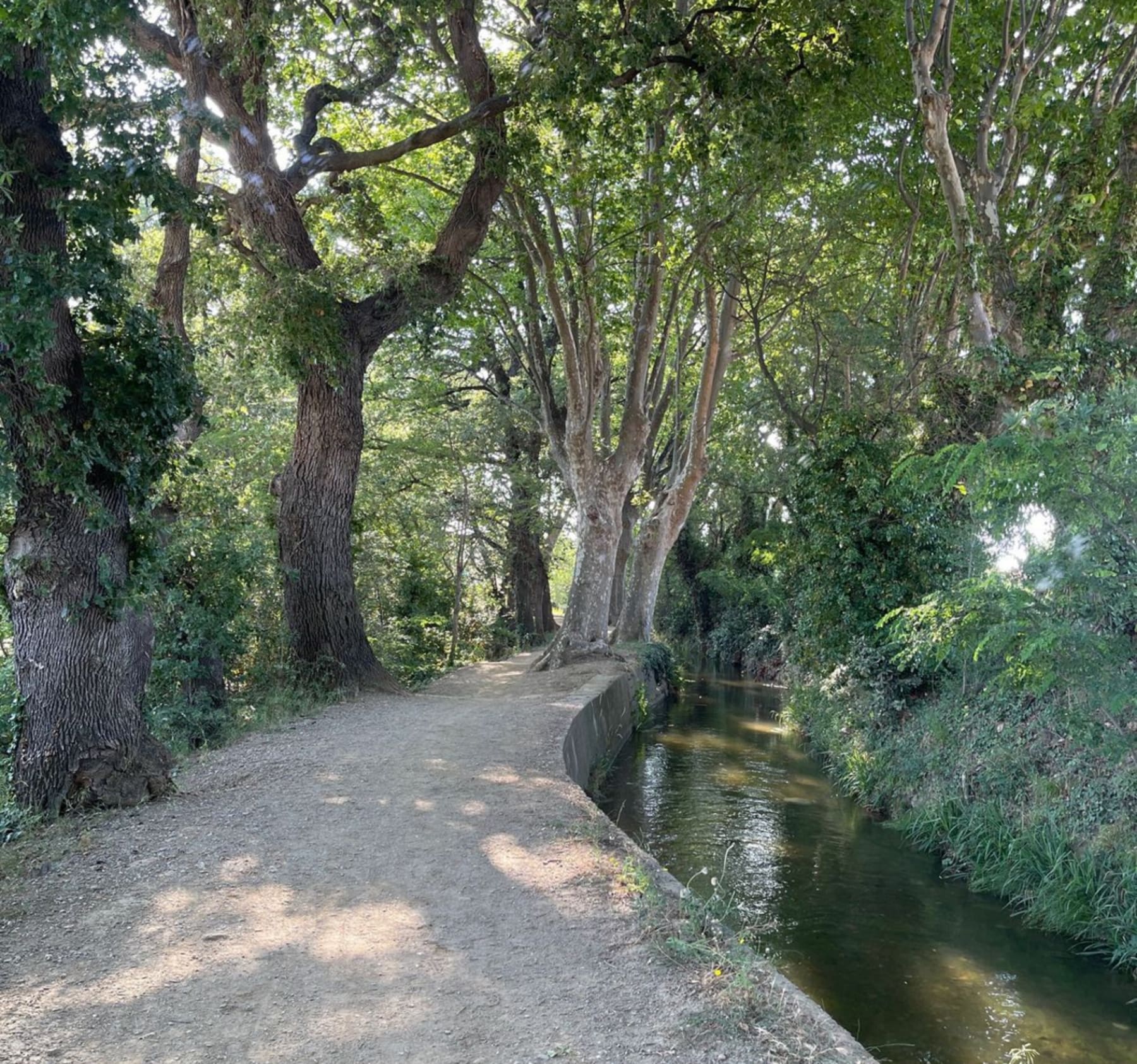 Randonnée Pollestres - À vélo ou à pied par Le Canal de Perpignan