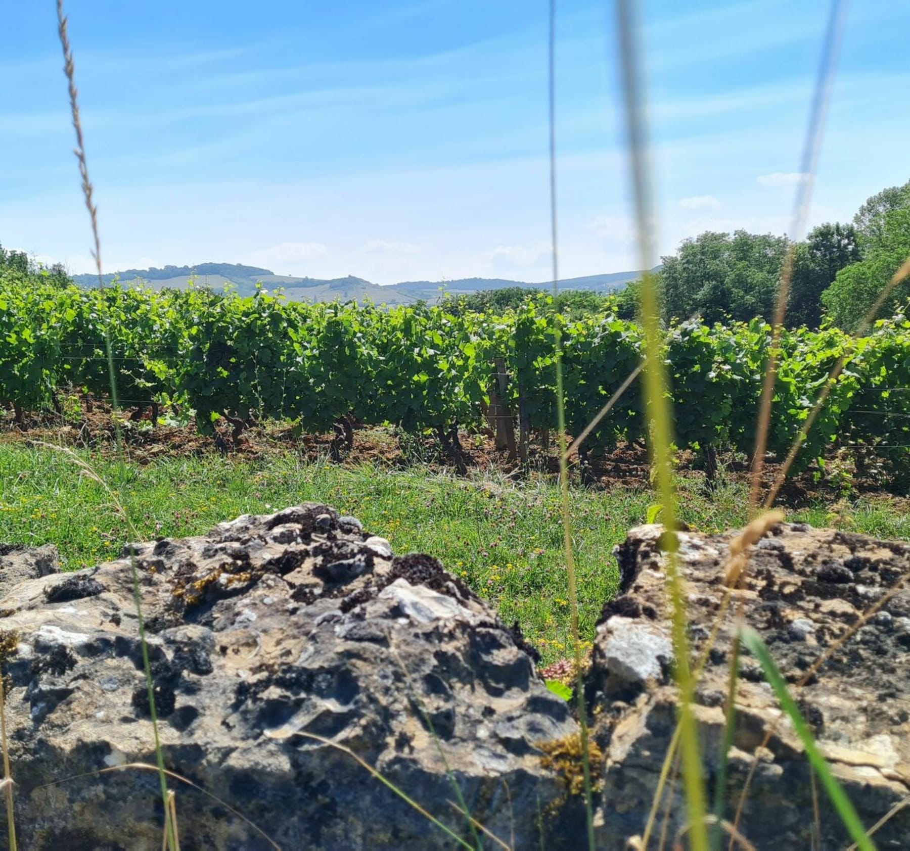 Randonnée Épertully - Ascension en Bourgogne