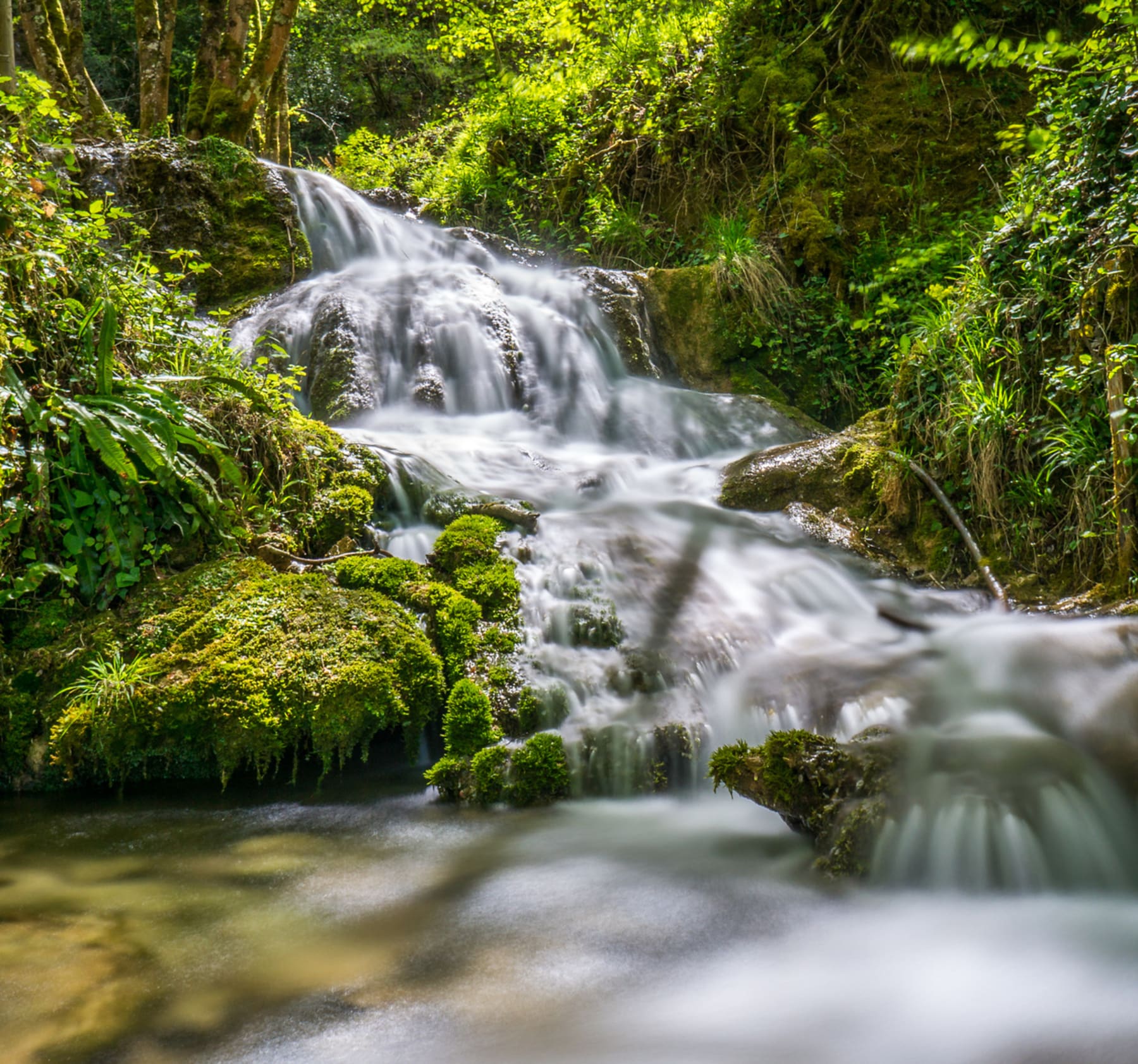 Randonnée Roquefort-les-Cascades - Boucle des cascades de Roquefort-les Cascades et Château de Roquefixade