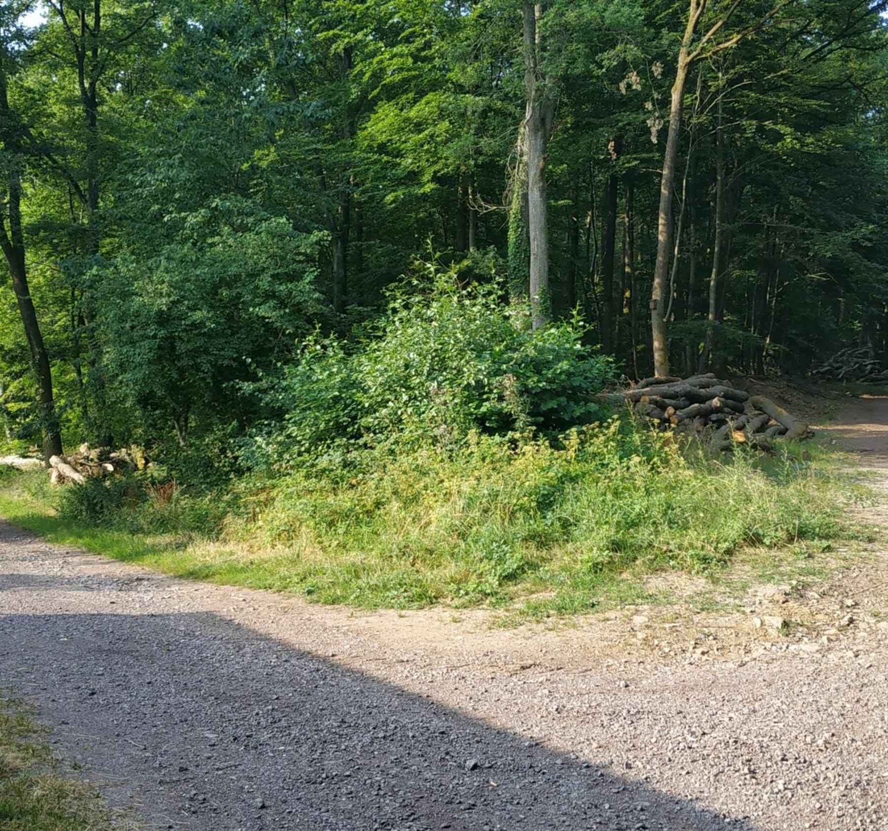 Randonnée Preuschdorf - Entre Preuschdorf et Lampertsloch en passant par Marienbronn