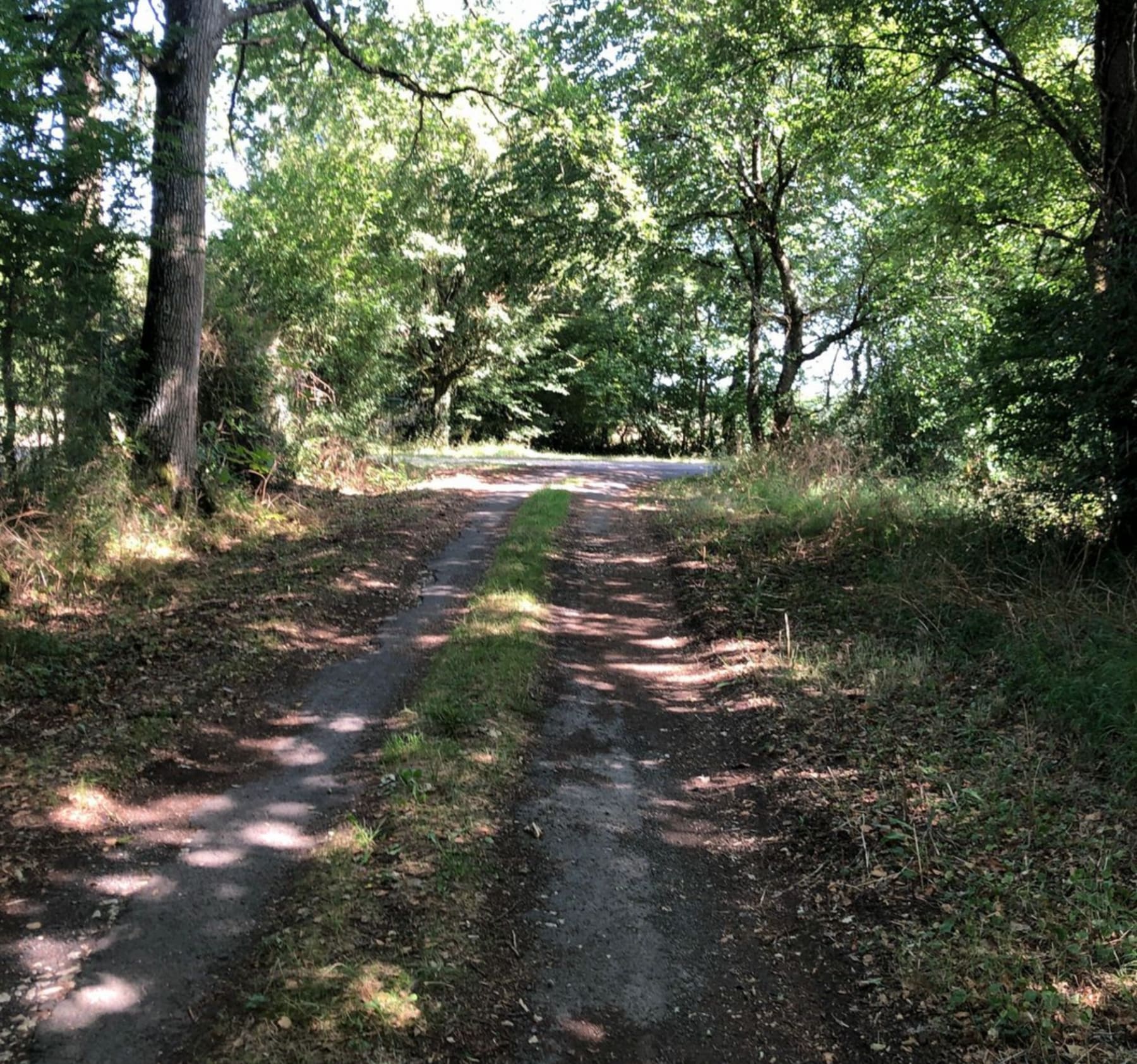 Randonnée Gençay - Petite balade autour de Gençay à VTT