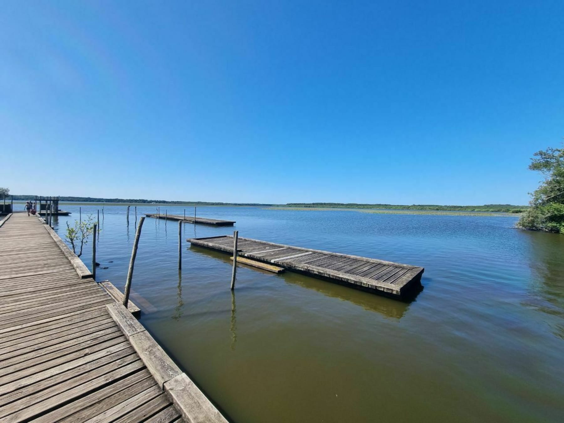 Randonnée Vieux-Boucau-les-Bains - Tour du lac de Soustons à partir de Vieux-boucau